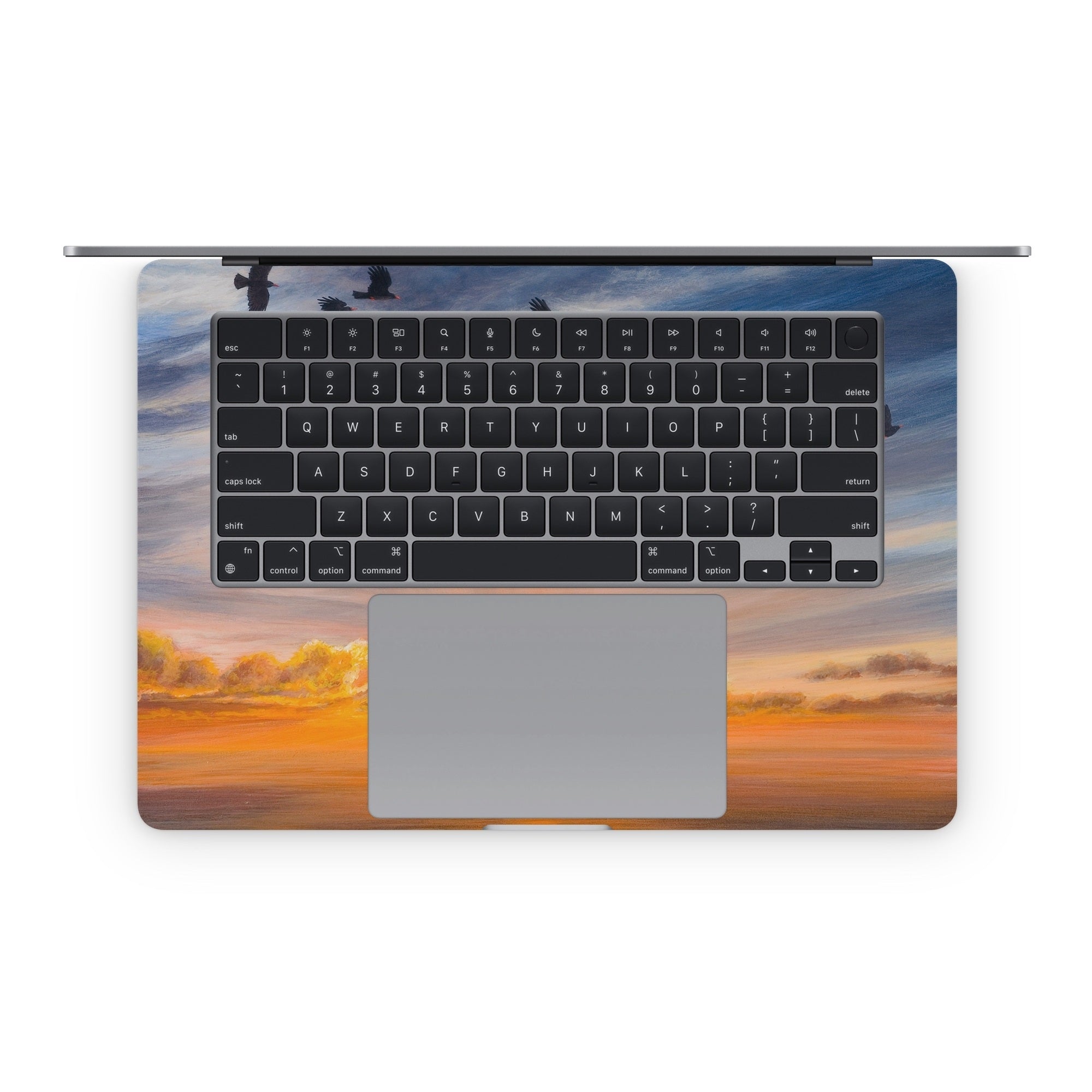 Equinox - Apple MacBook Skin