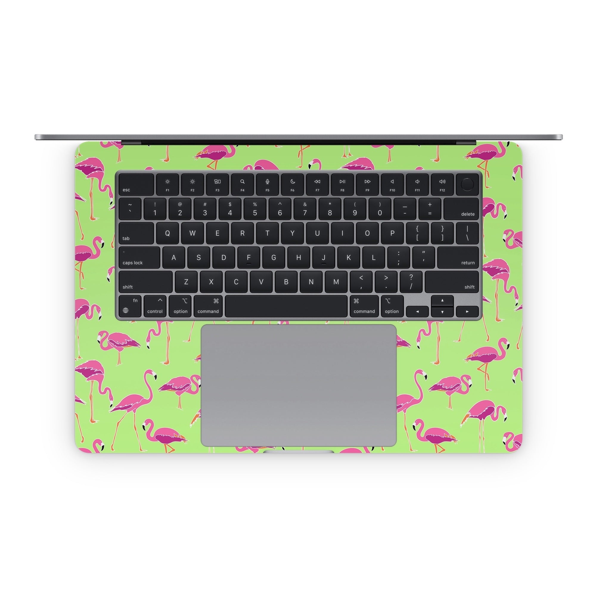 Flamingo Day - Apple MacBook Skin