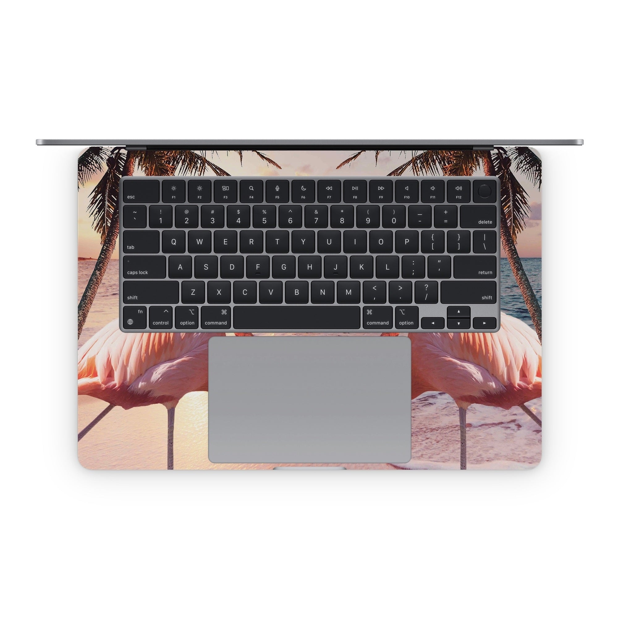 Flamingo Palm - Apple MacBook Skin