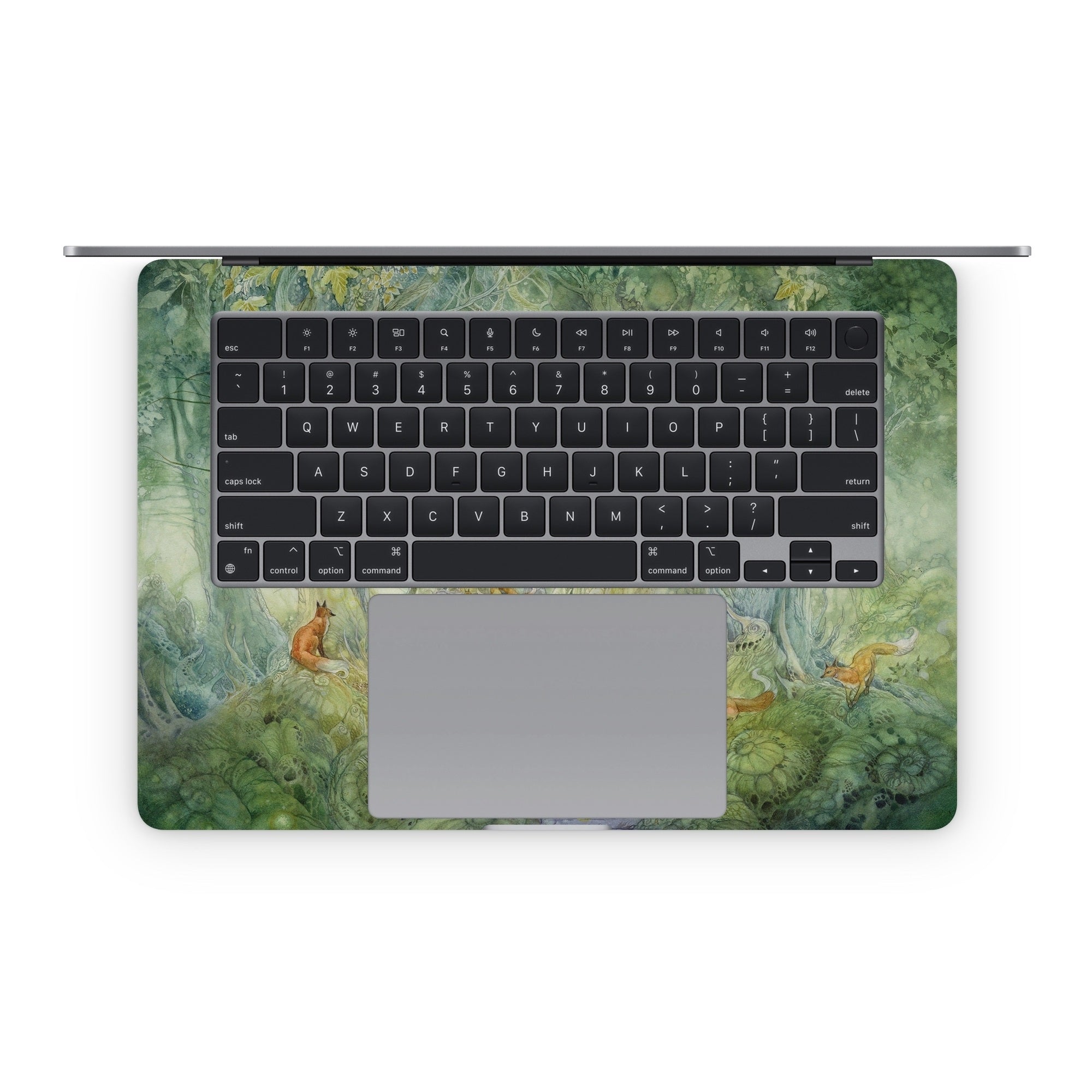 Green Gate - Apple MacBook Skin