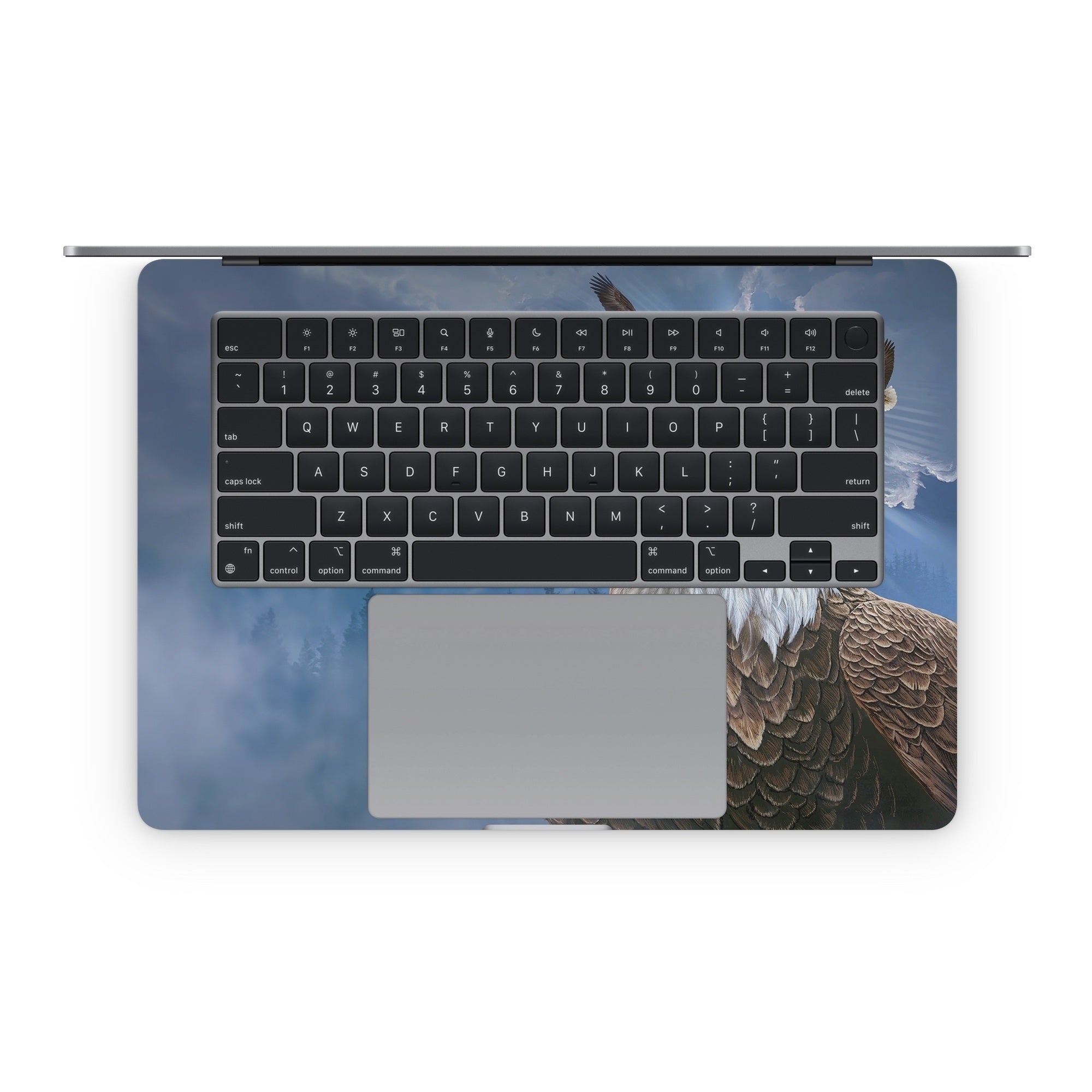 Guardian Eagle - Apple MacBook Skin