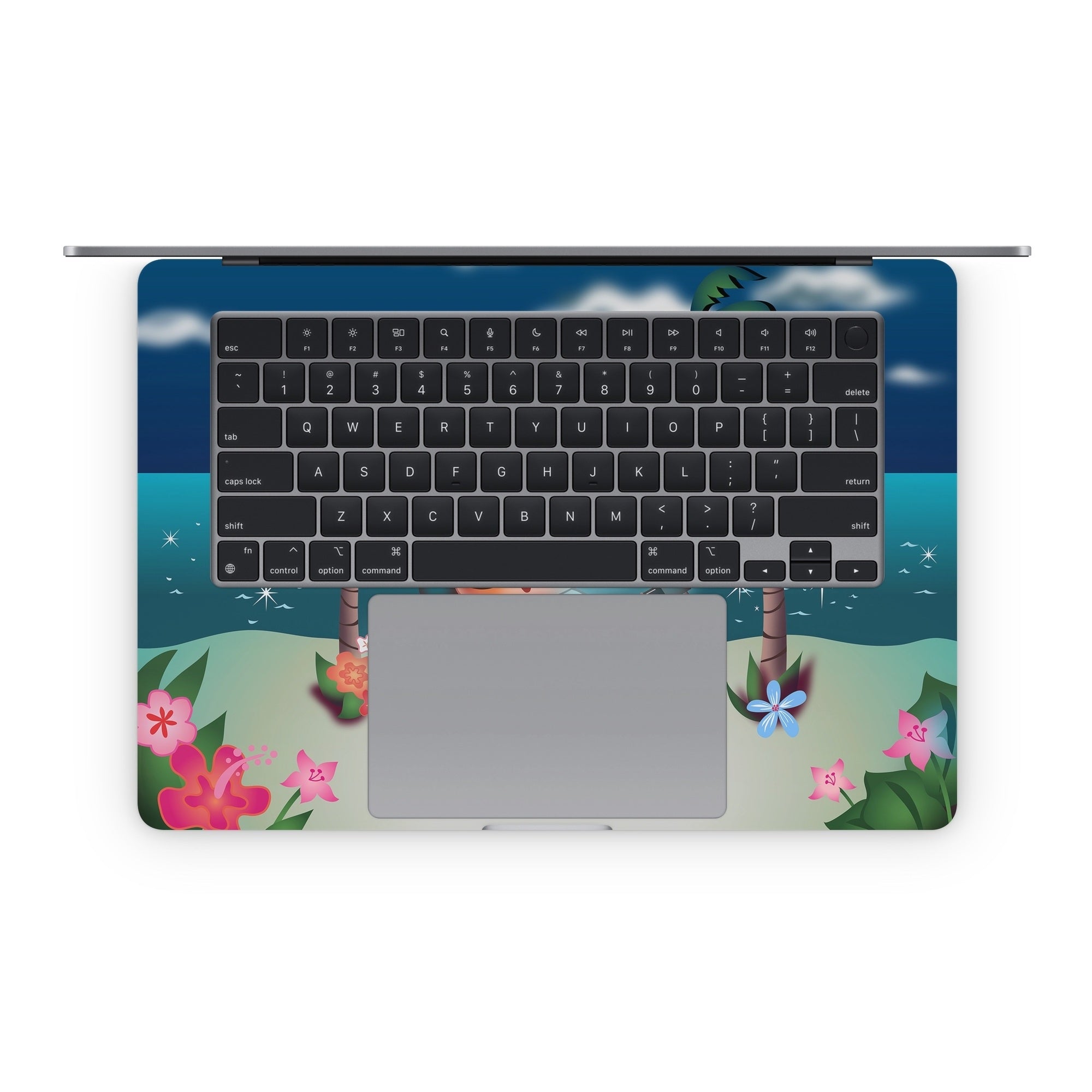 Hula Night - Apple MacBook Skin