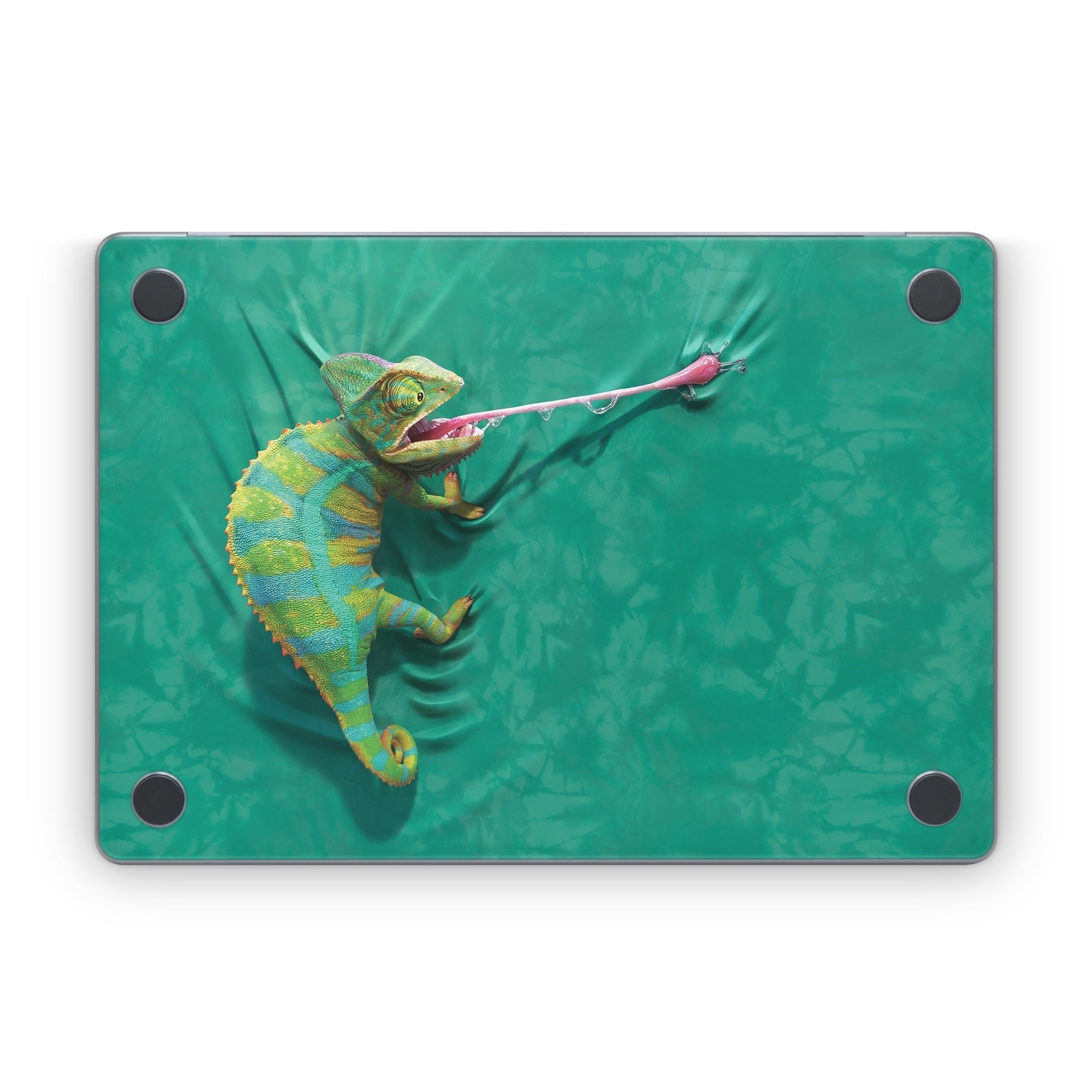 Iguana - Apple MacBook Skin