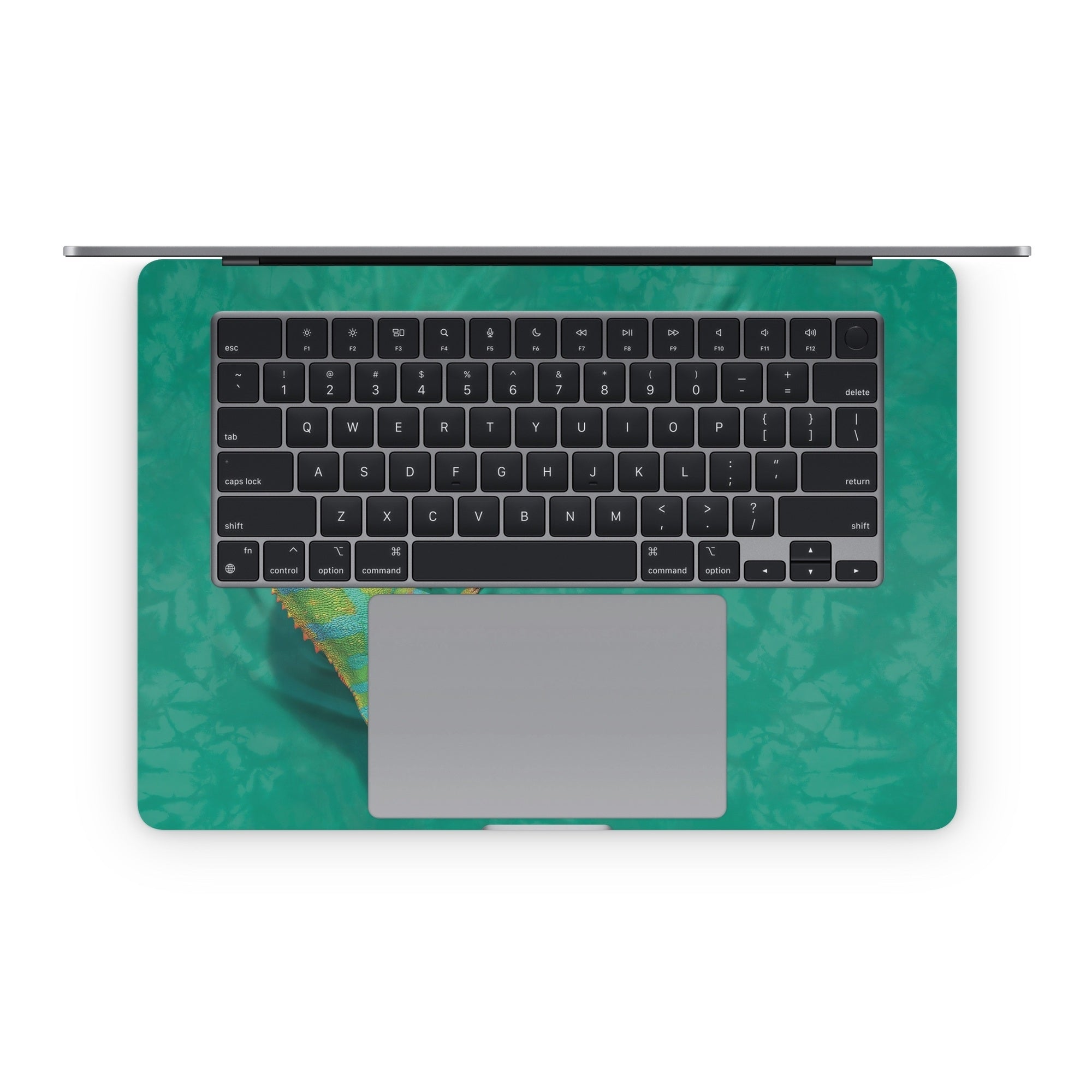 Iguana - Apple MacBook Skin