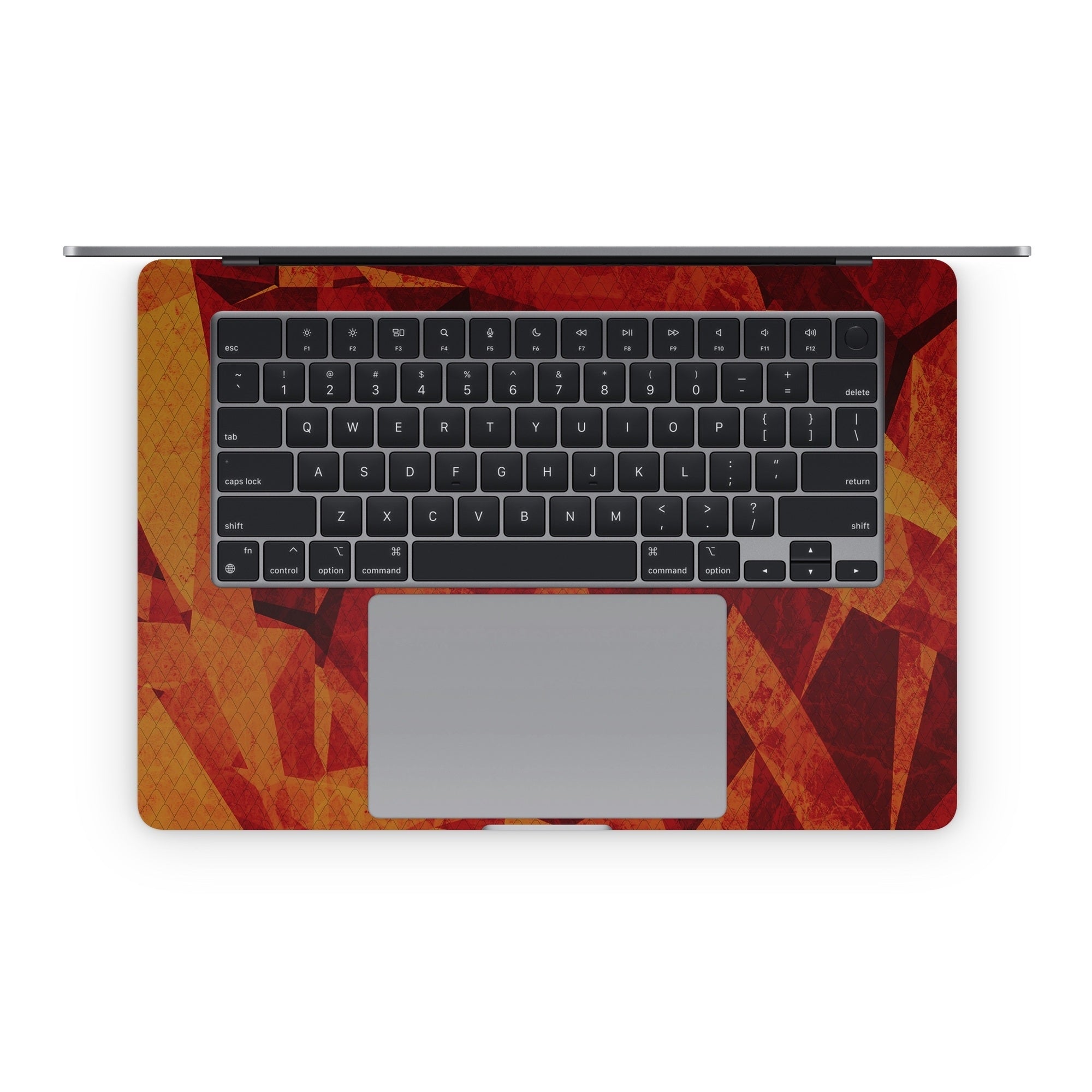 Kingsnake - Apple MacBook Skin