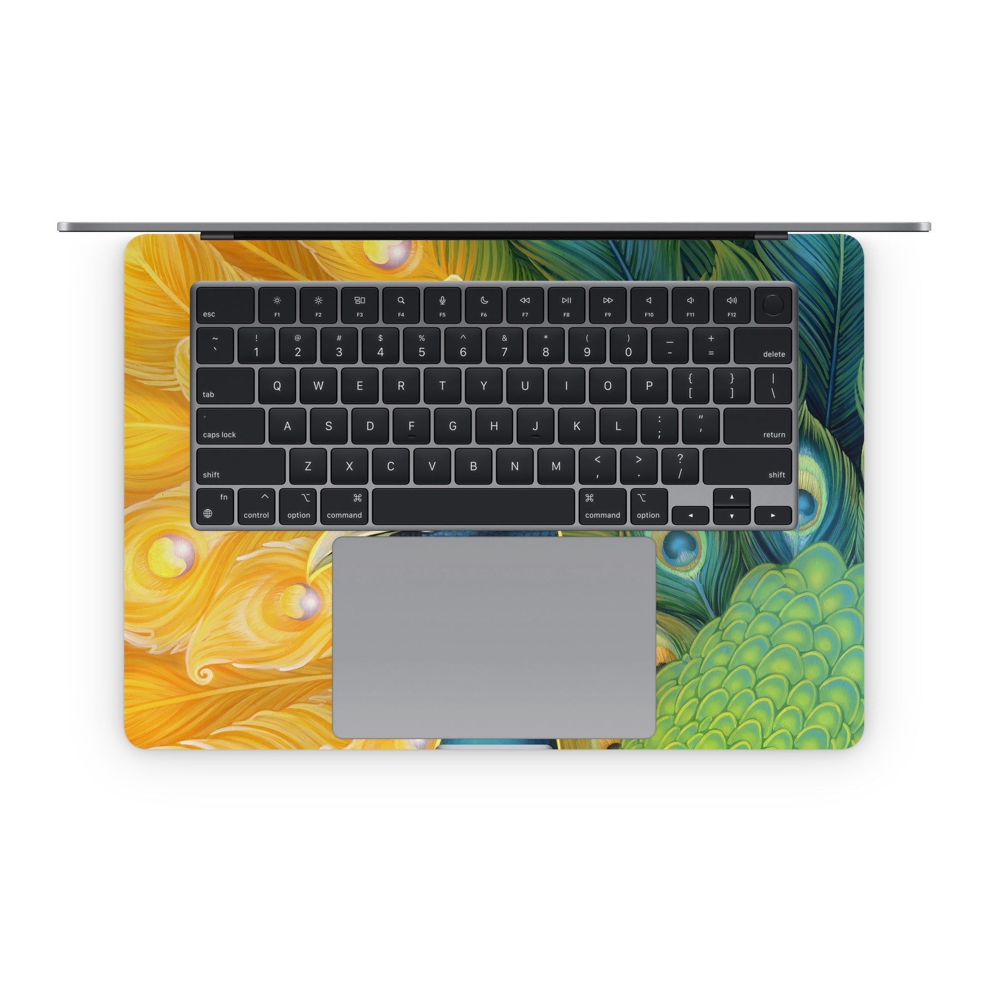 Let Go Of Old - Apple MacBook Skin