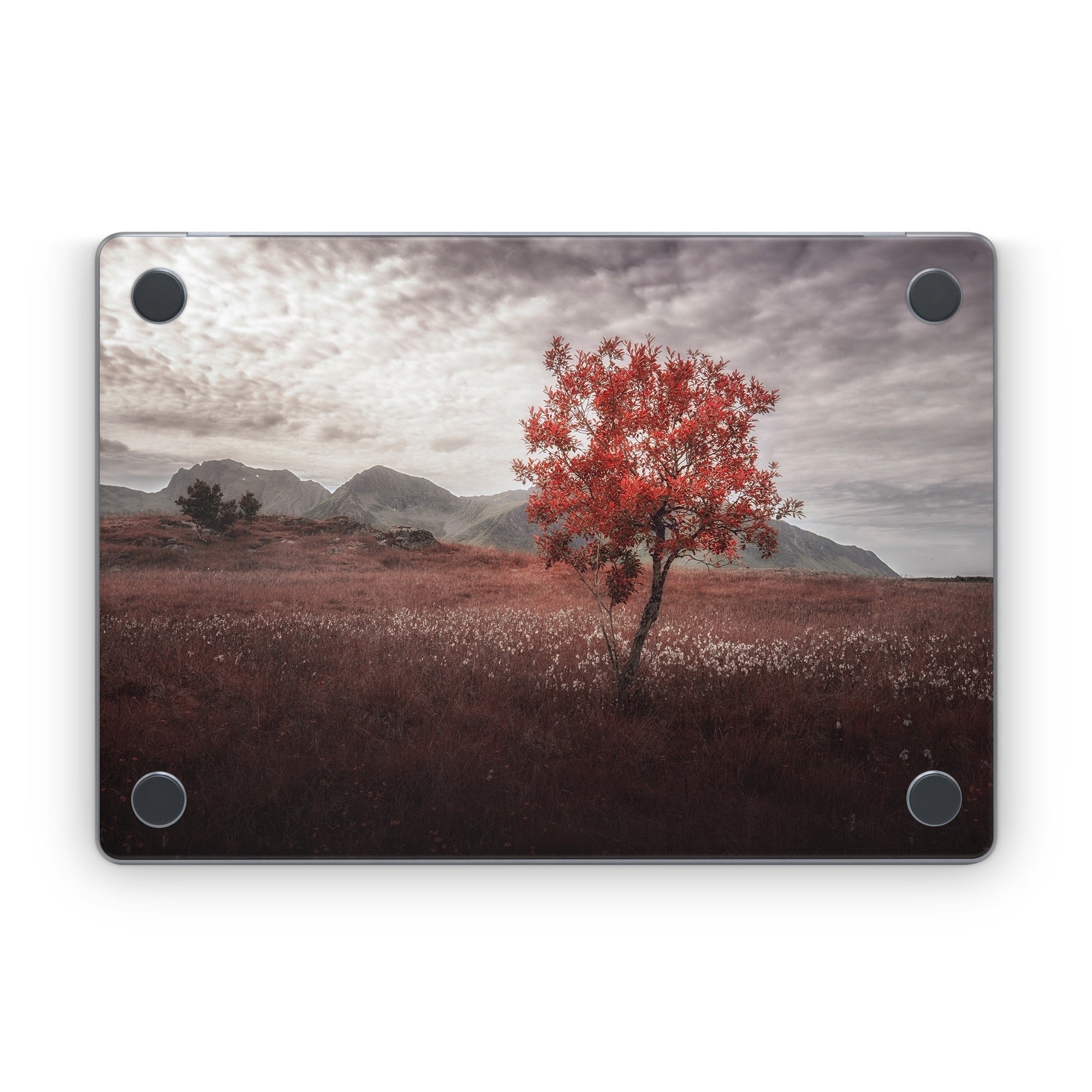 Lofoten Tree - Apple MacBook Skin