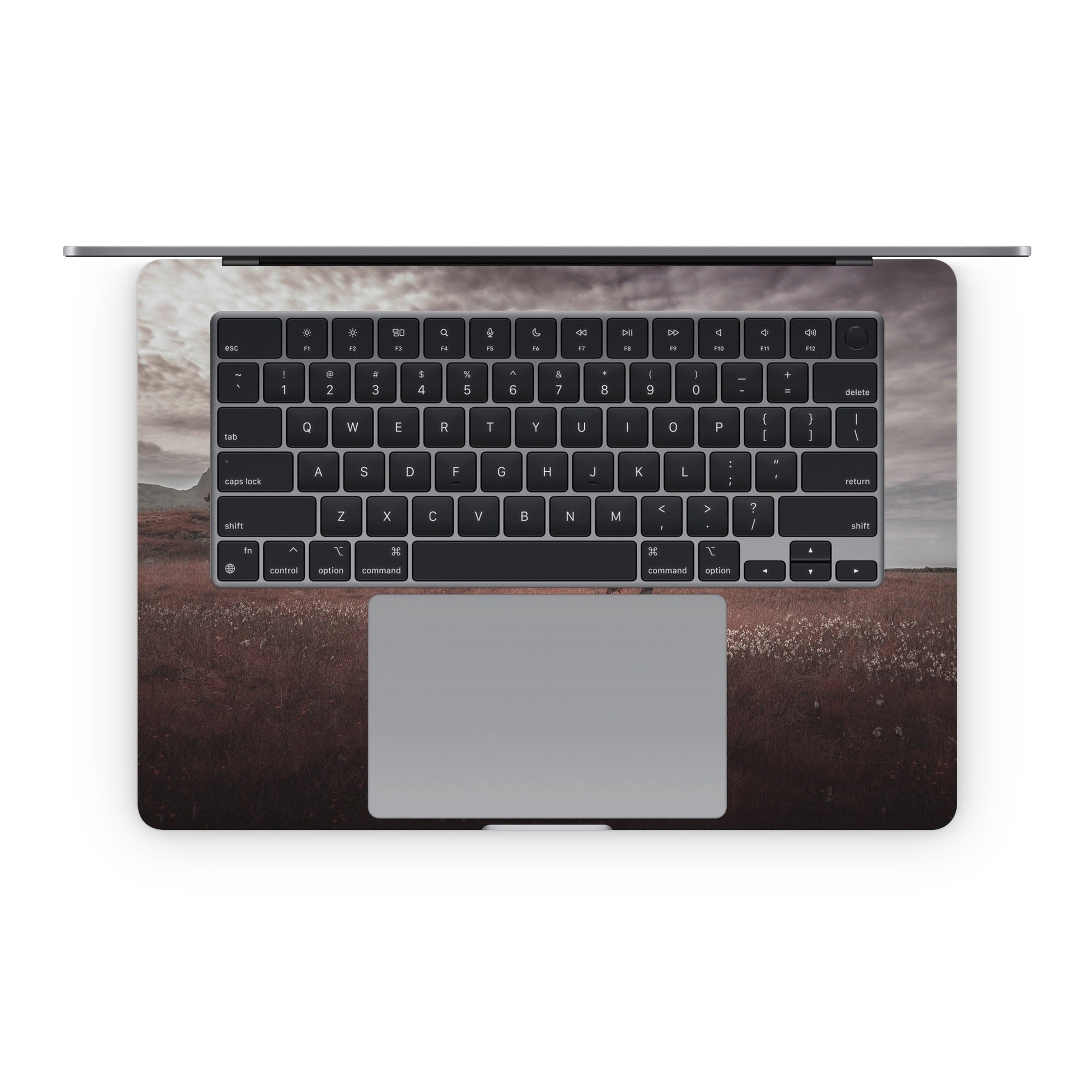 Lofoten Tree - Apple MacBook Skin