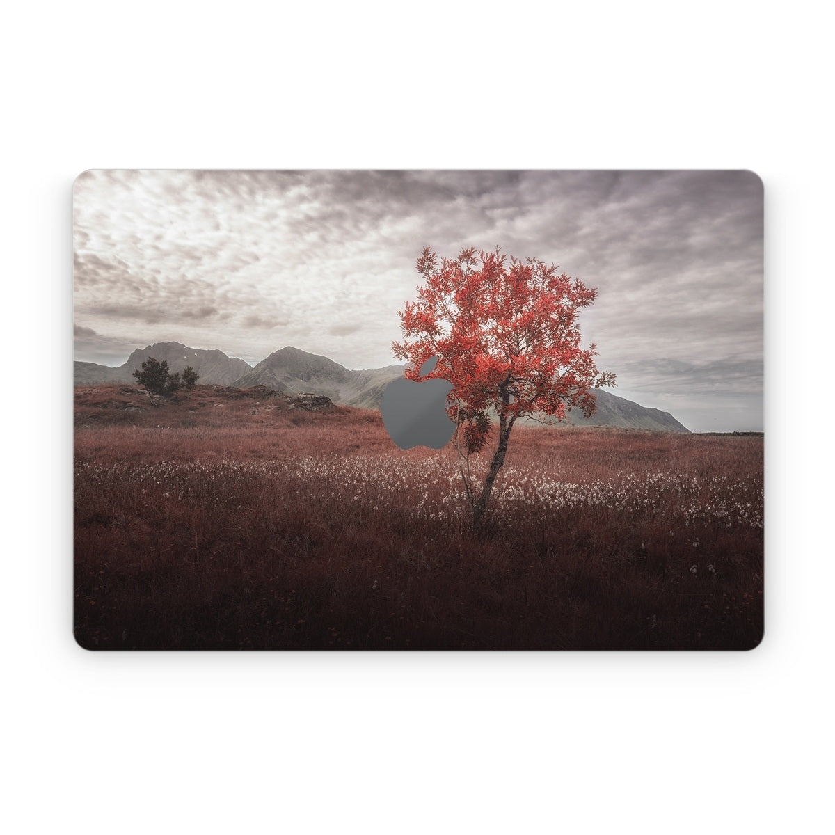 Lofoten Tree - Apple MacBook Skin