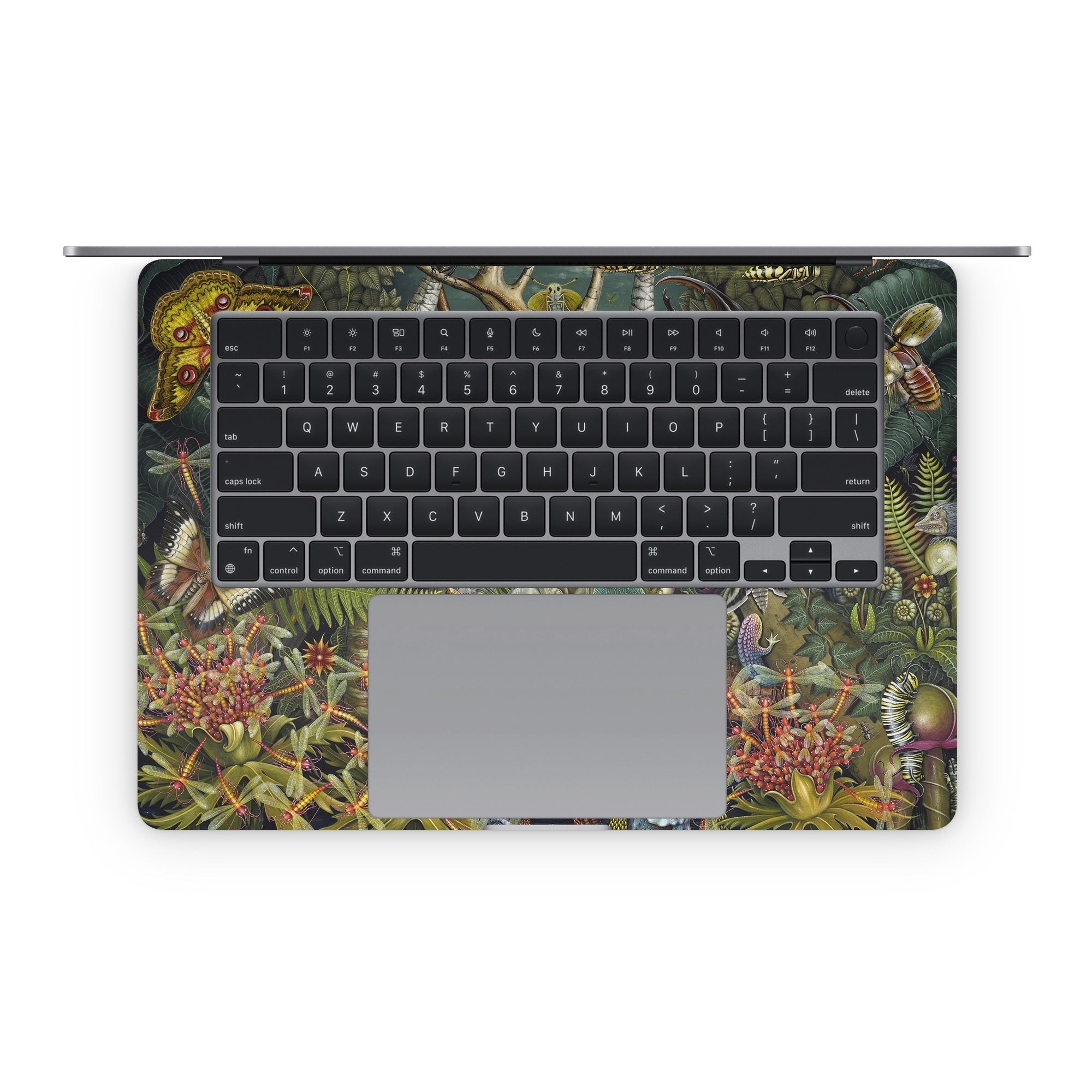 Mantis Mundi - Apple MacBook Skin