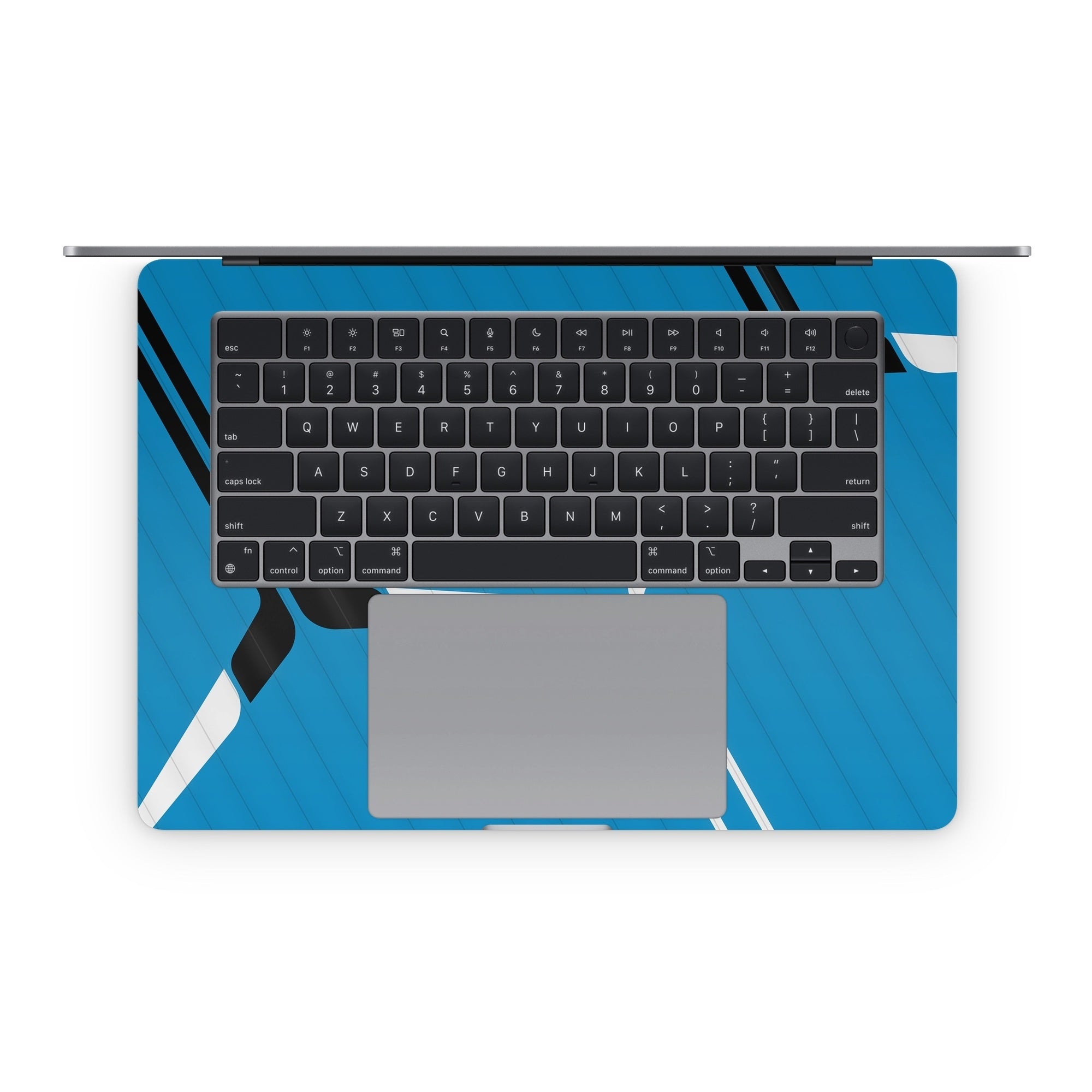 The Fly Guy - Apple MacBook Skin