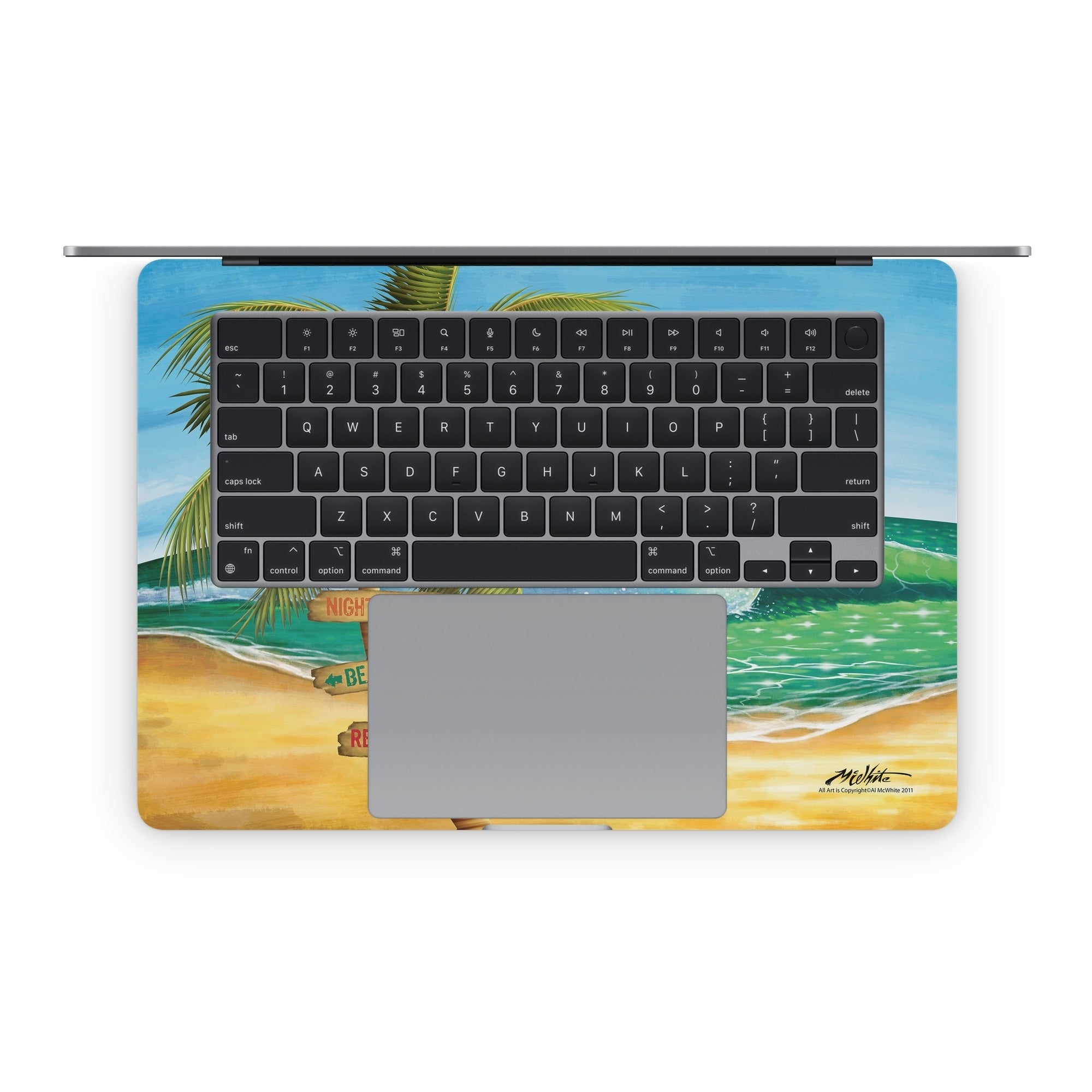 Palm Signs - Apple MacBook Skin