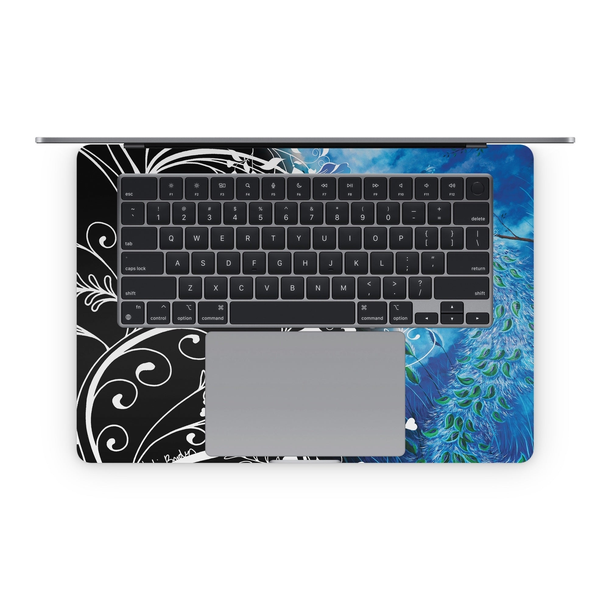 Peacock Sky - Apple MacBook Skin