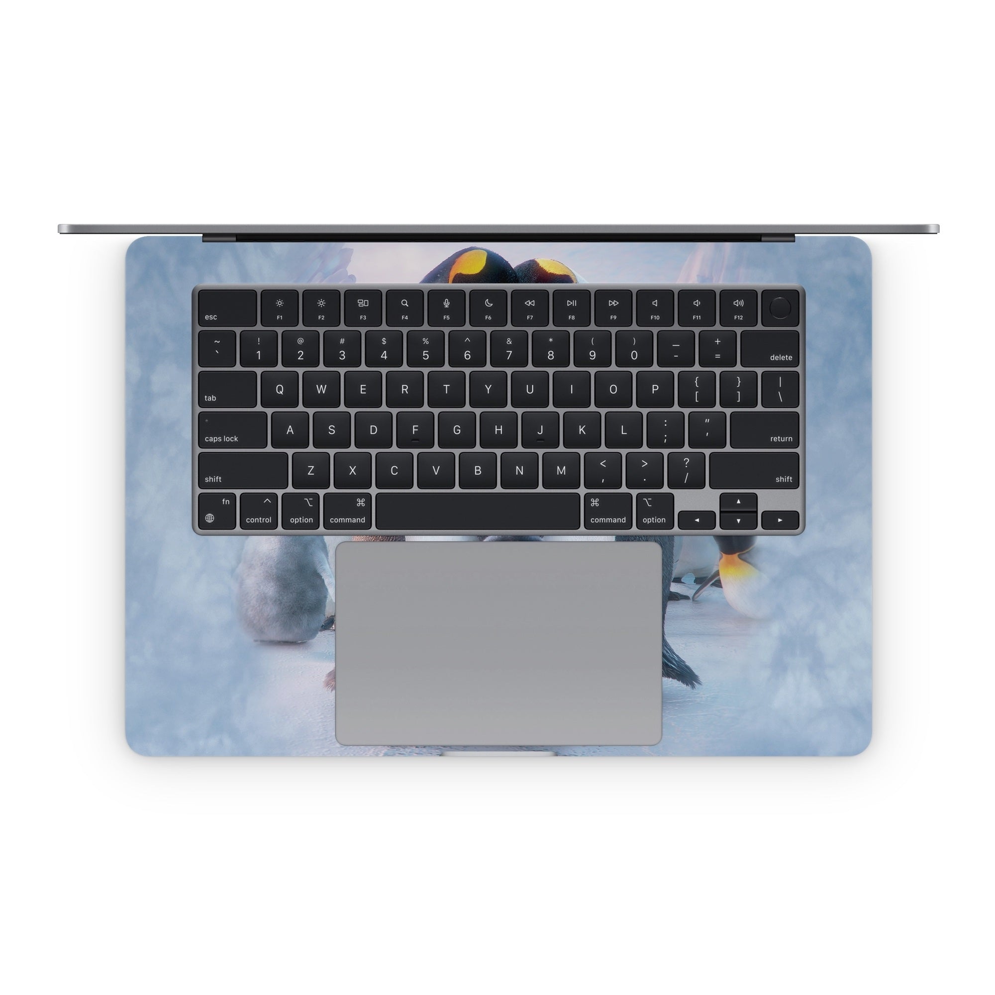 Penguin Heart - Apple MacBook Skin