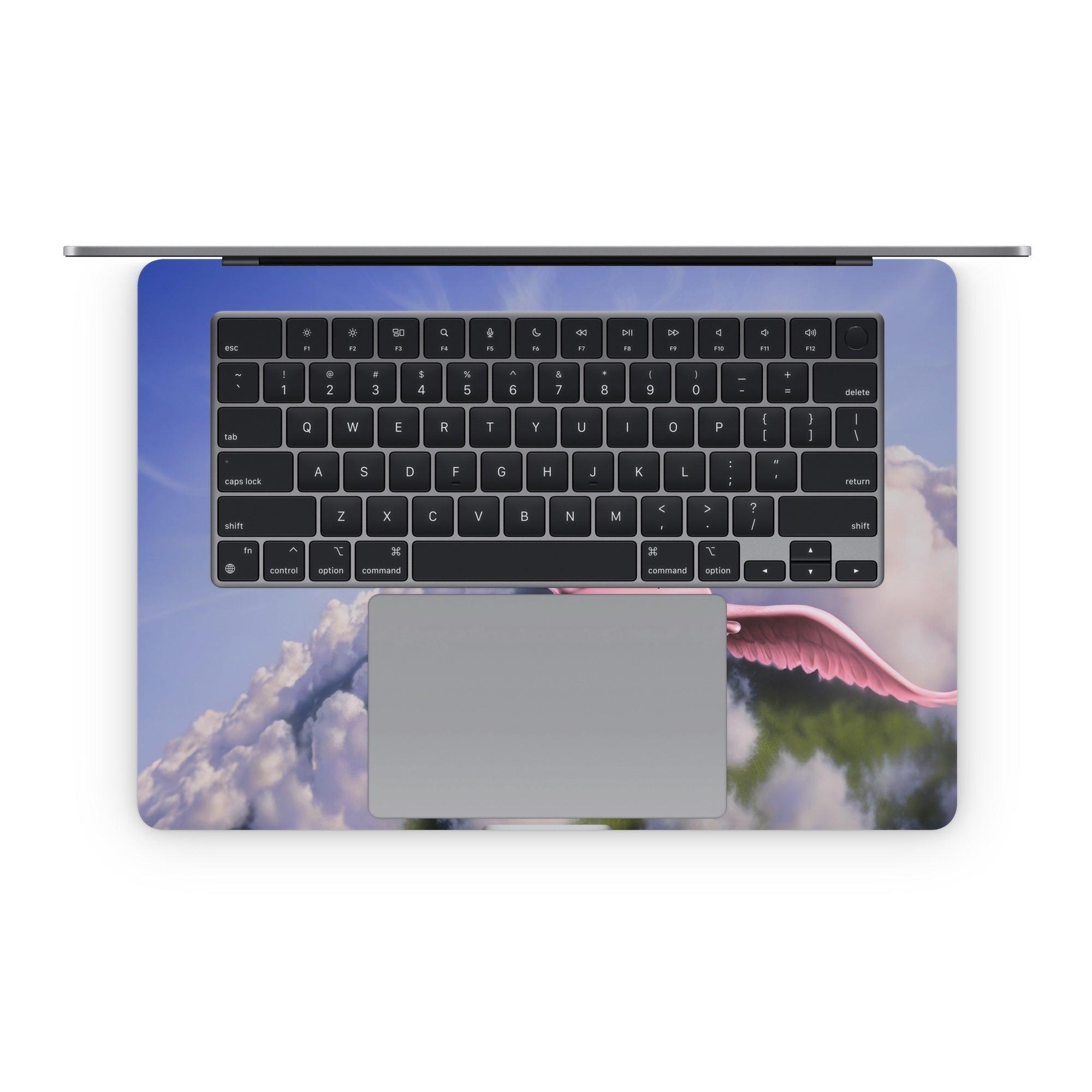 Piggies - Apple MacBook Skin