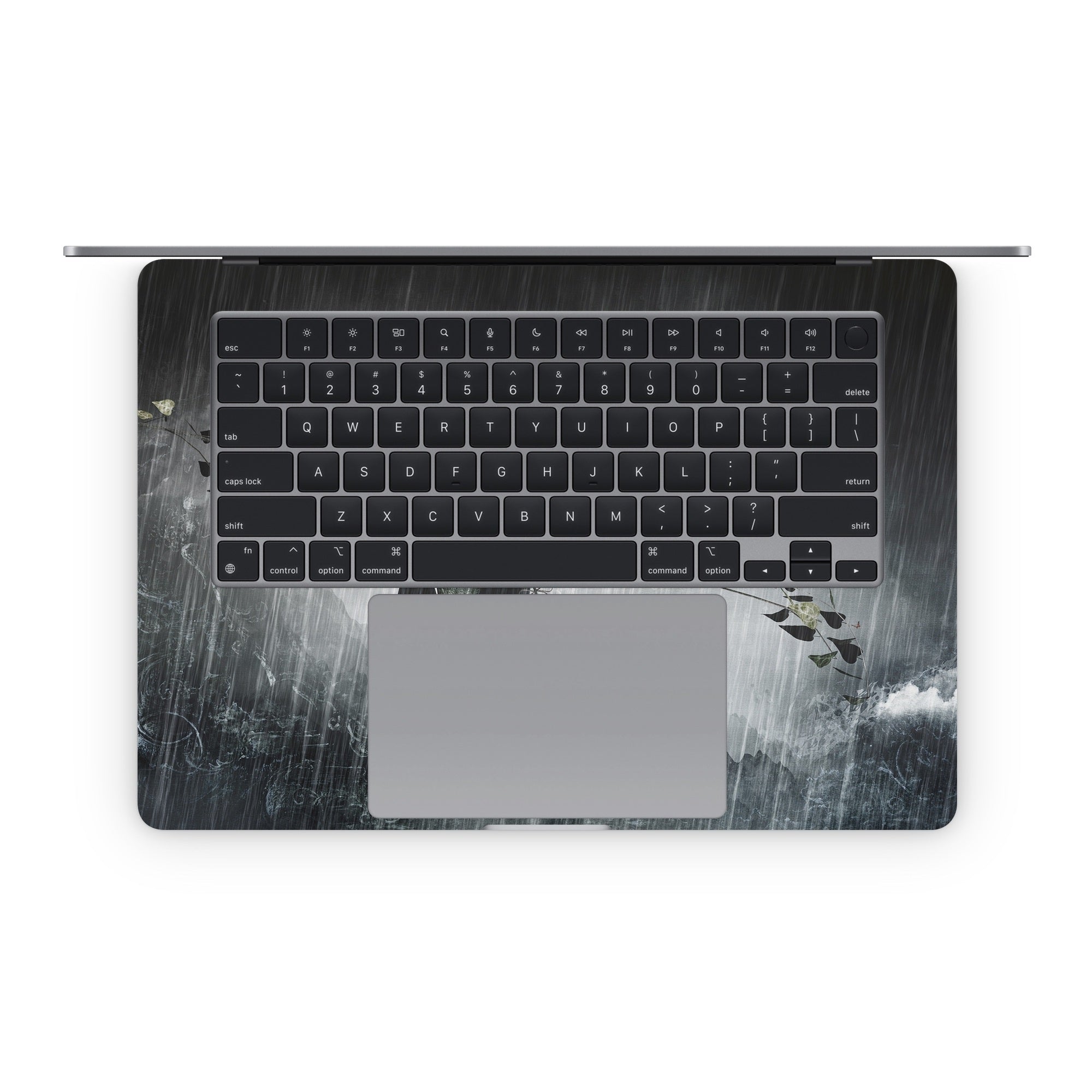 Reach - Apple MacBook Skin