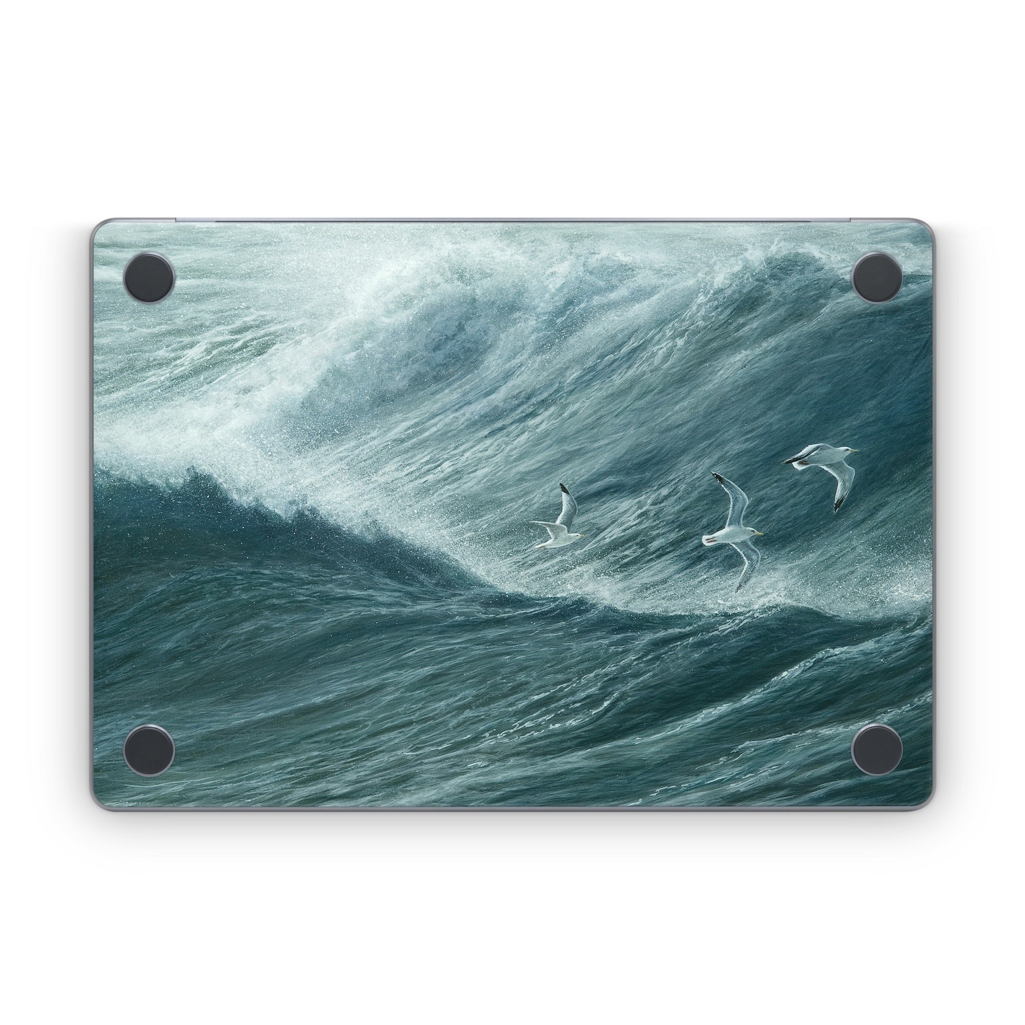 Riding the Wind - Apple MacBook Skin