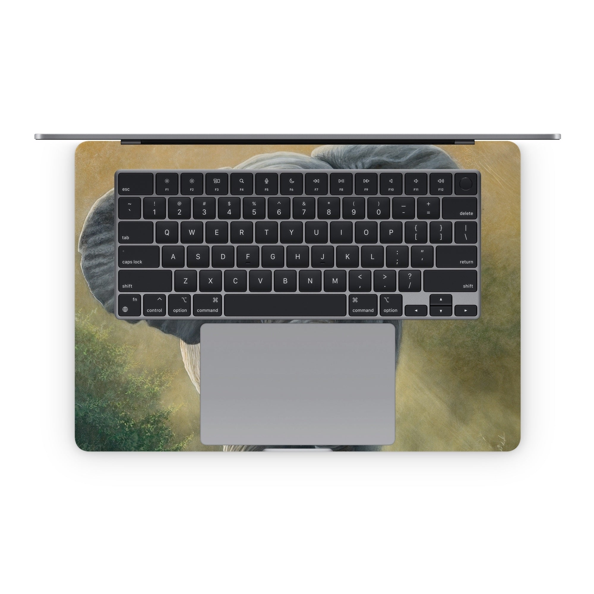 Right of Way - Apple MacBook Skin