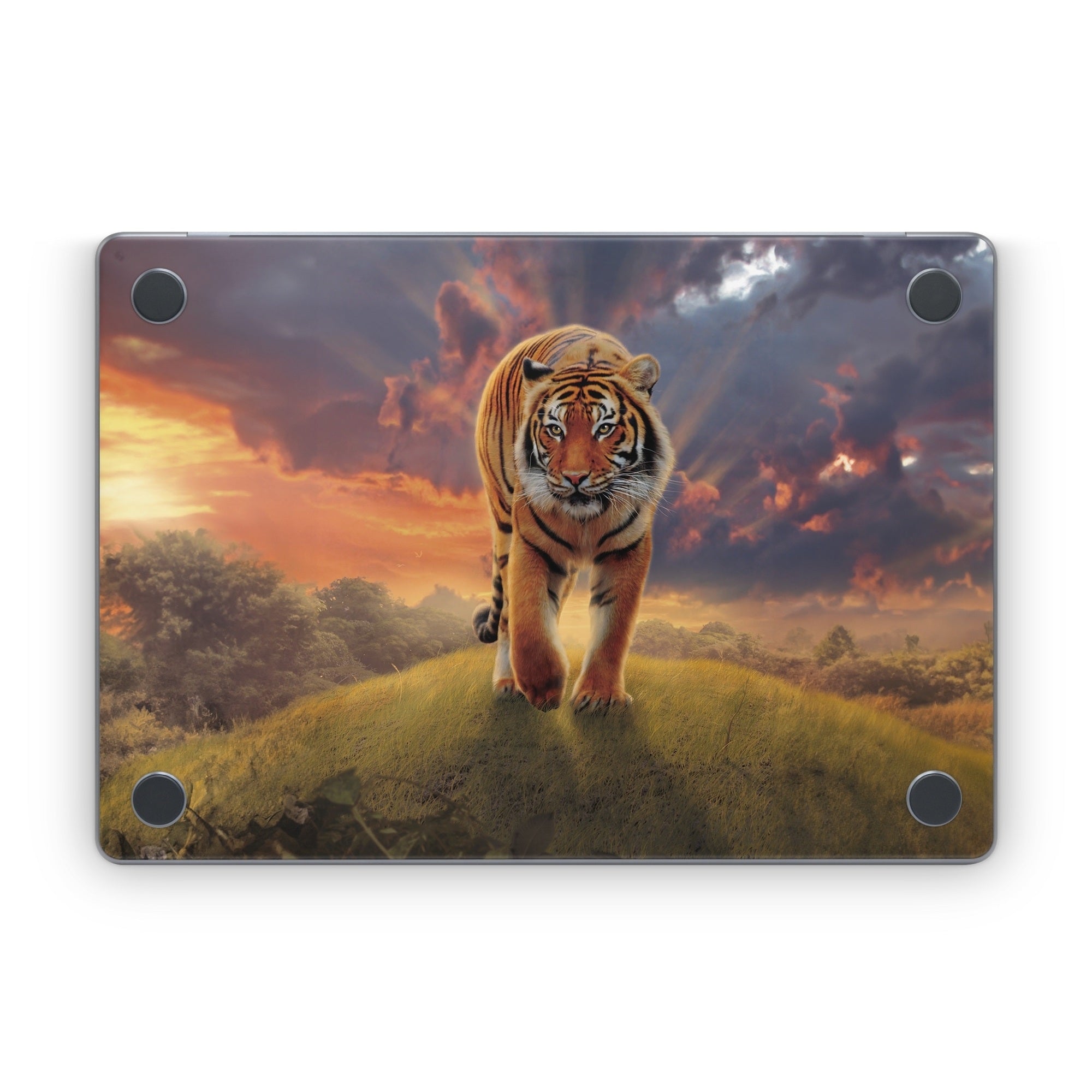 Rising Tiger - Apple MacBook Skin