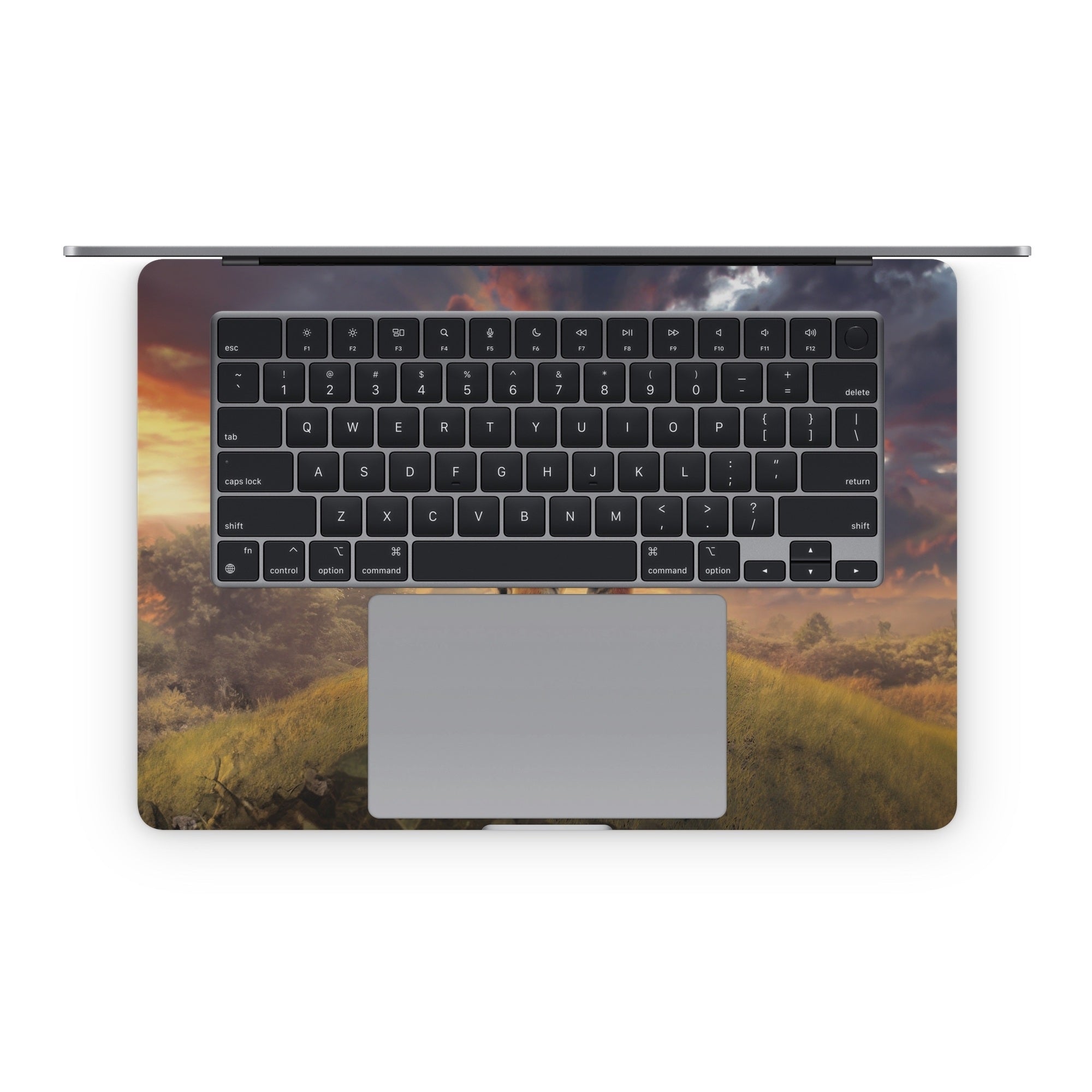 Rising Tiger - Apple MacBook Skin