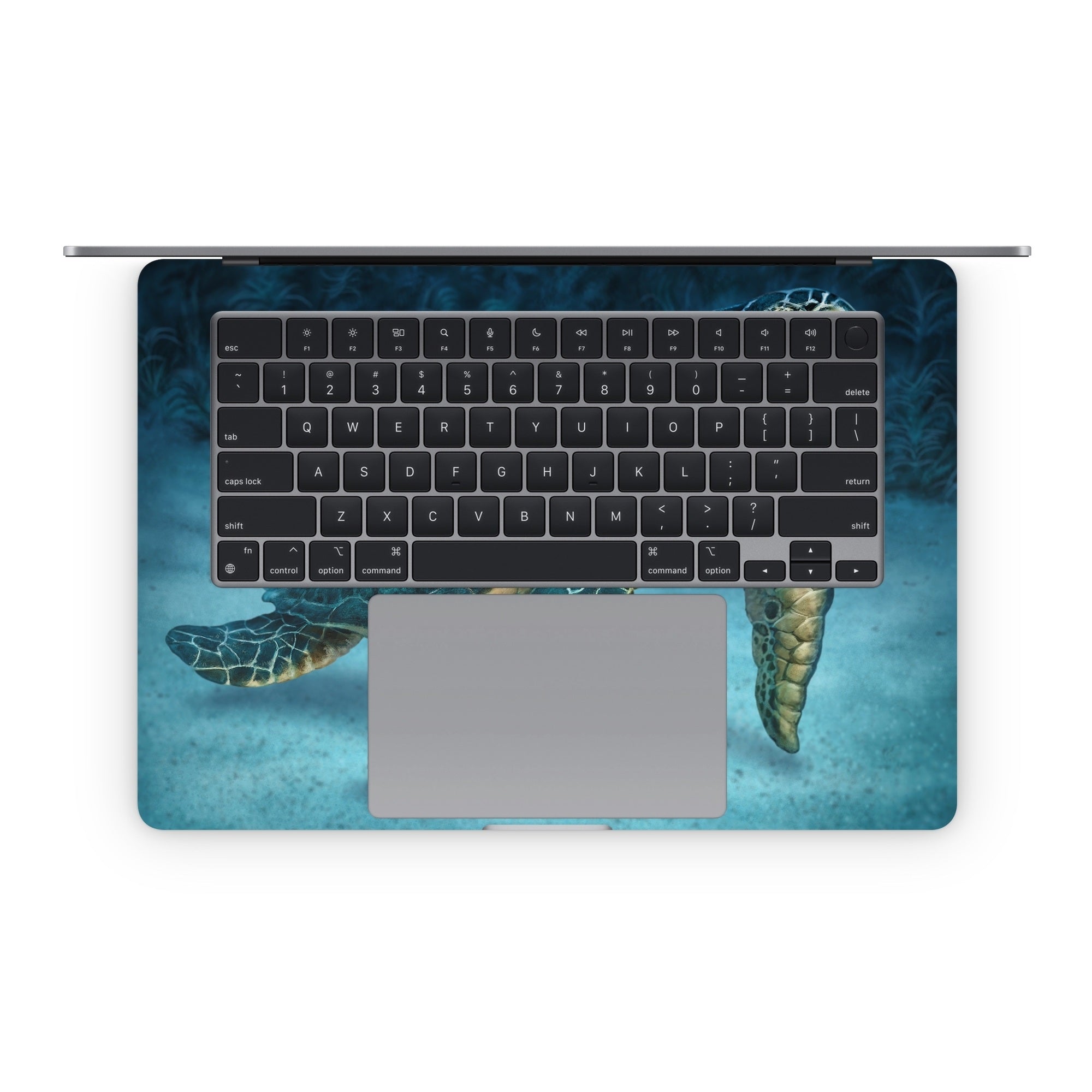 Sea Turtle - Apple MacBook Skin