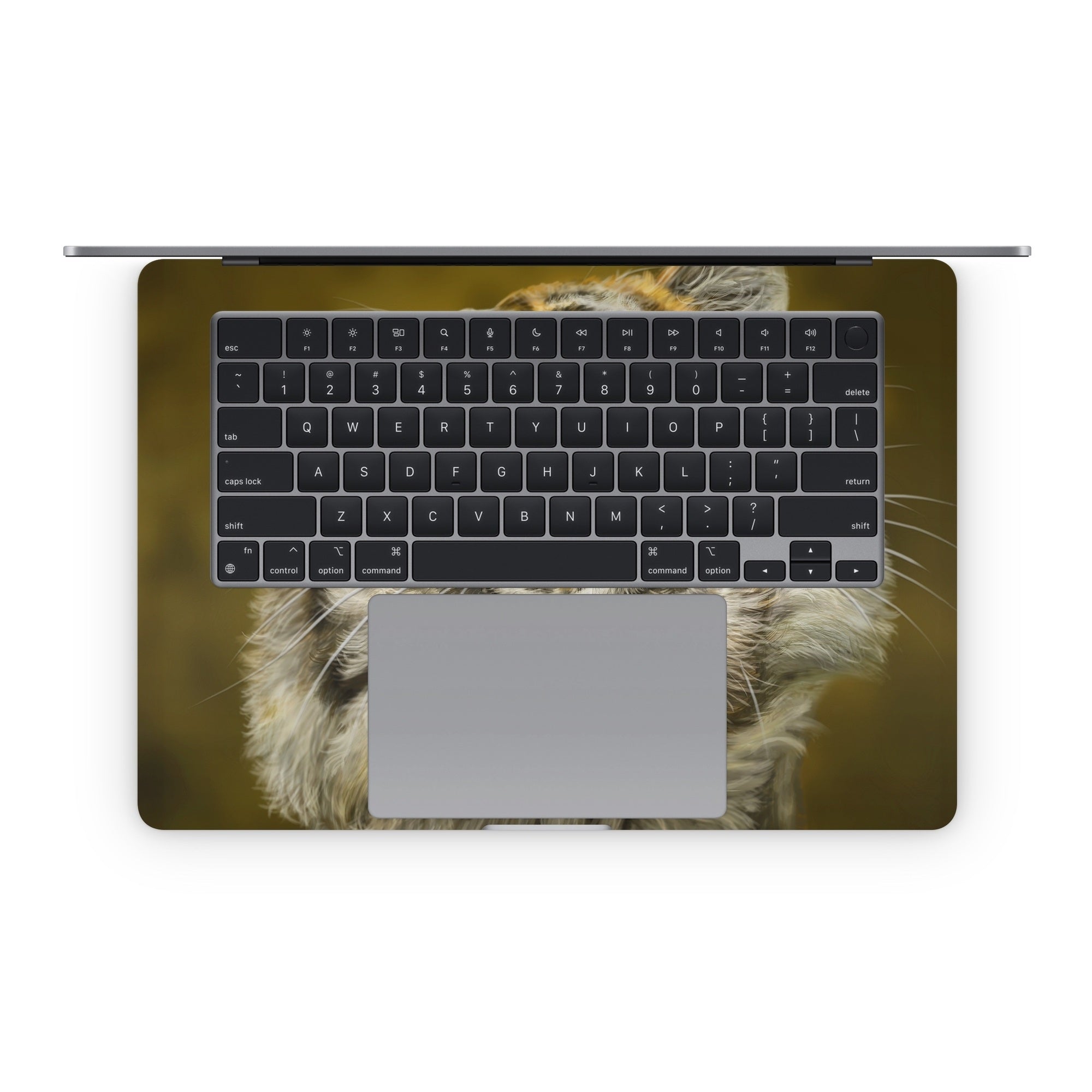 Smiling Tiger - Apple MacBook Skin