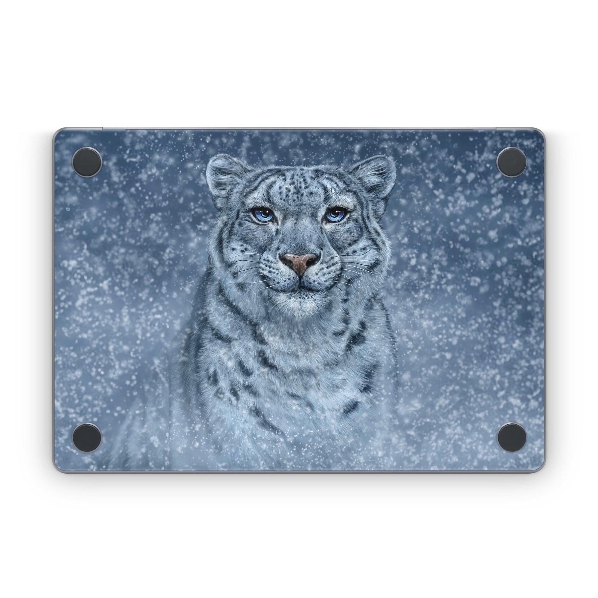 Snow Queen - Apple MacBook Skin