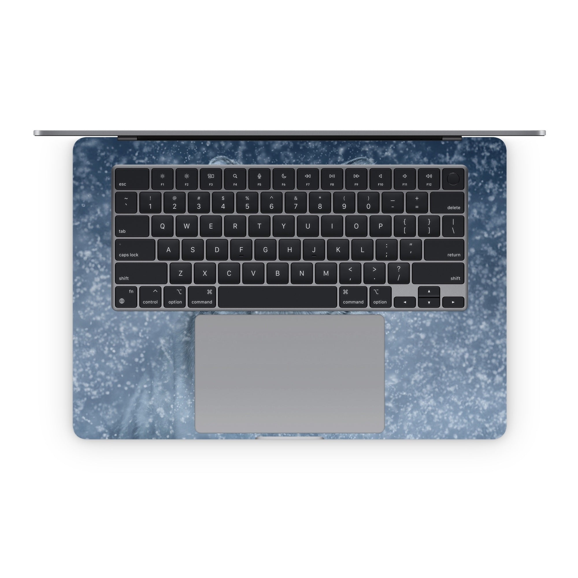 Snow Queen - Apple MacBook Skin