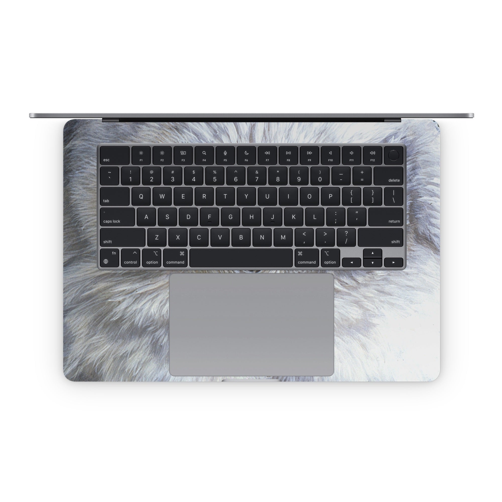 Snowy Owl - Apple MacBook Skin