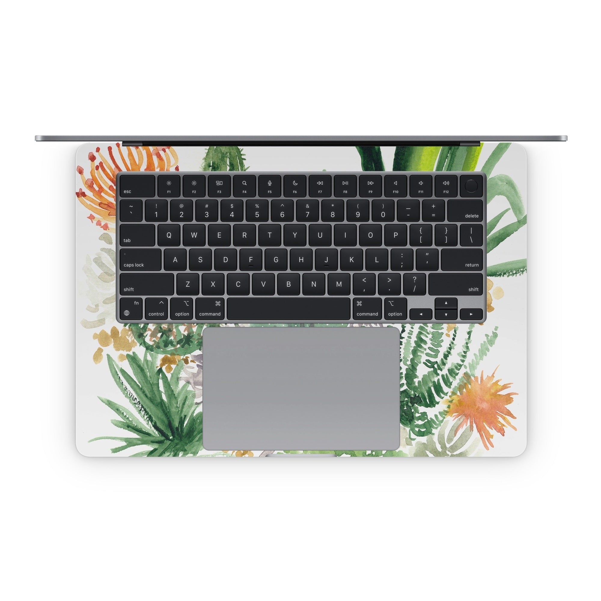 Sonoran Desert - Apple MacBook Skin