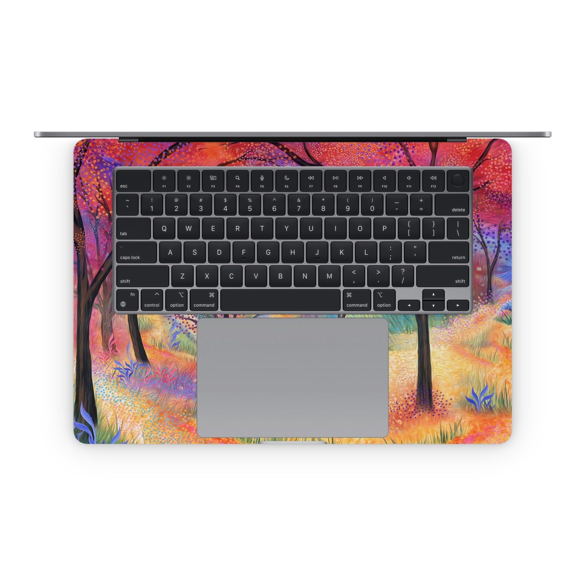 Sparkle Park - Apple MacBook Skin