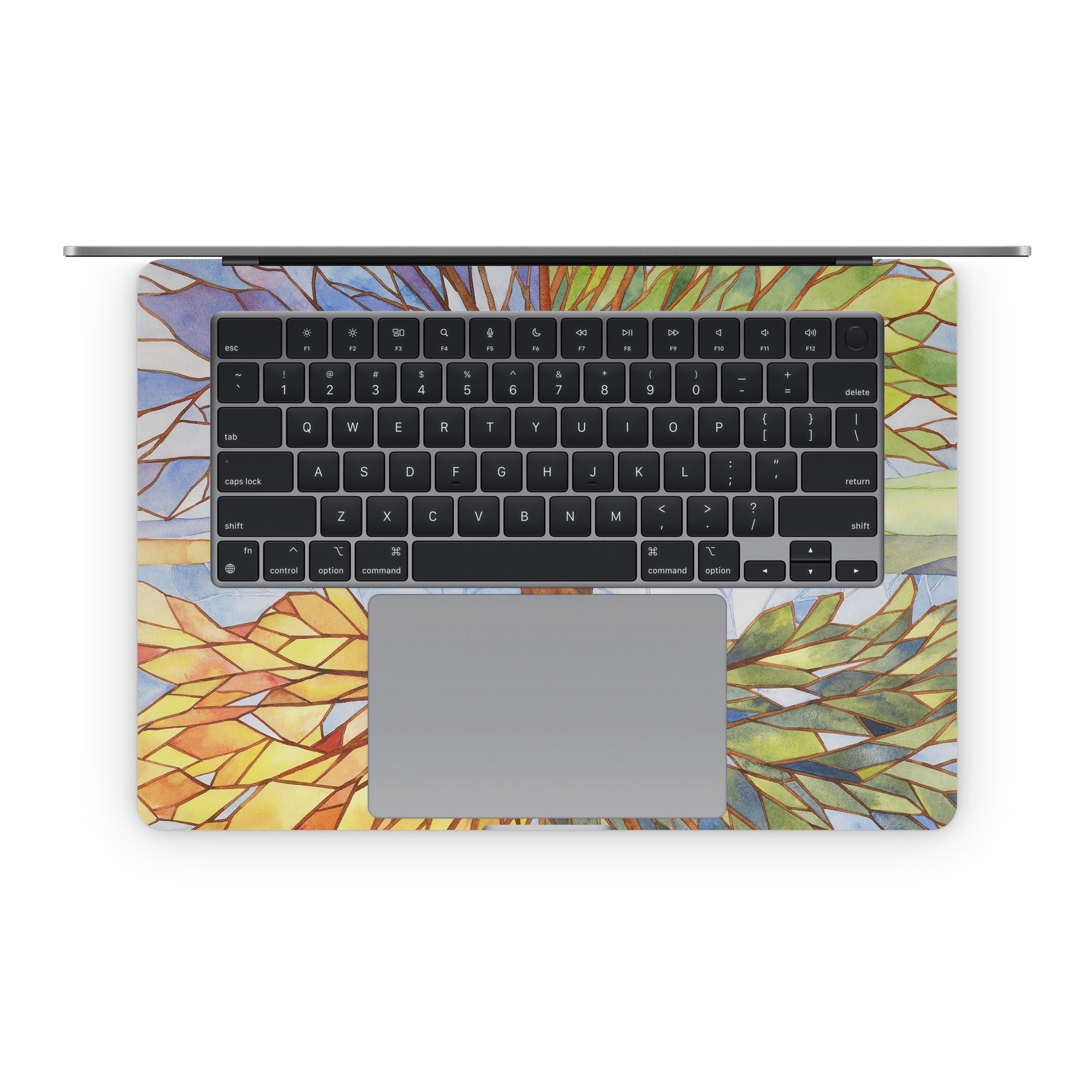 Searching for the Season - Apple MacBook Skin