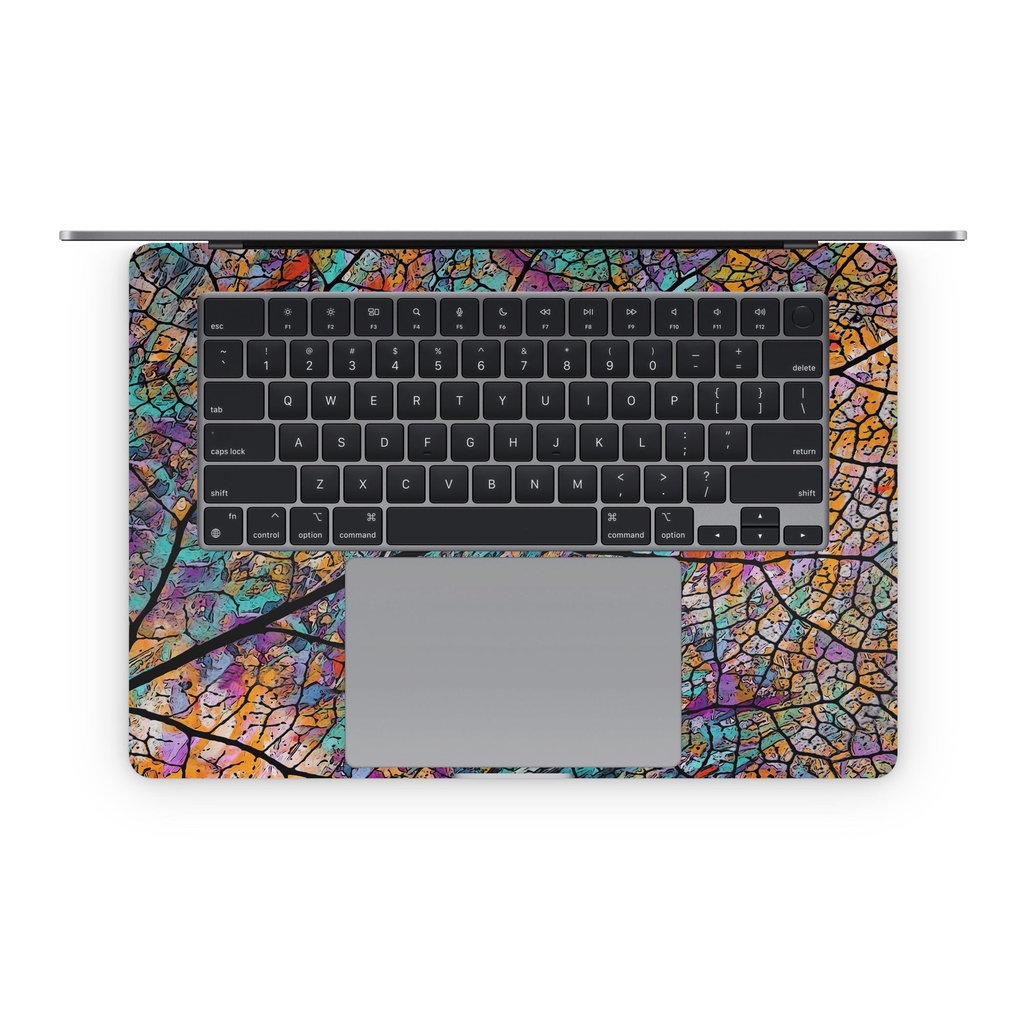 Stained Aspen - Apple MacBook Skin