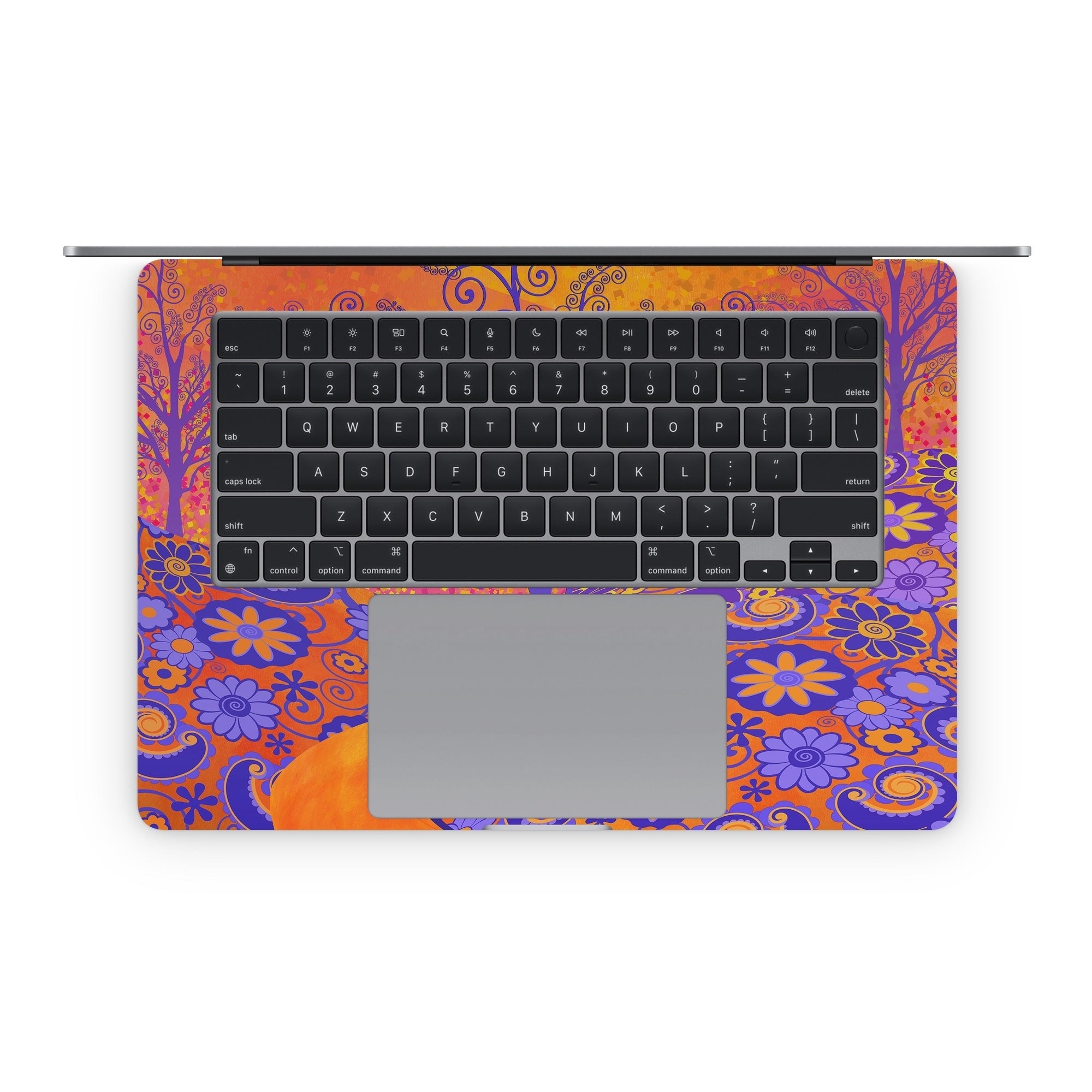 Sunset Park - Apple MacBook Skin