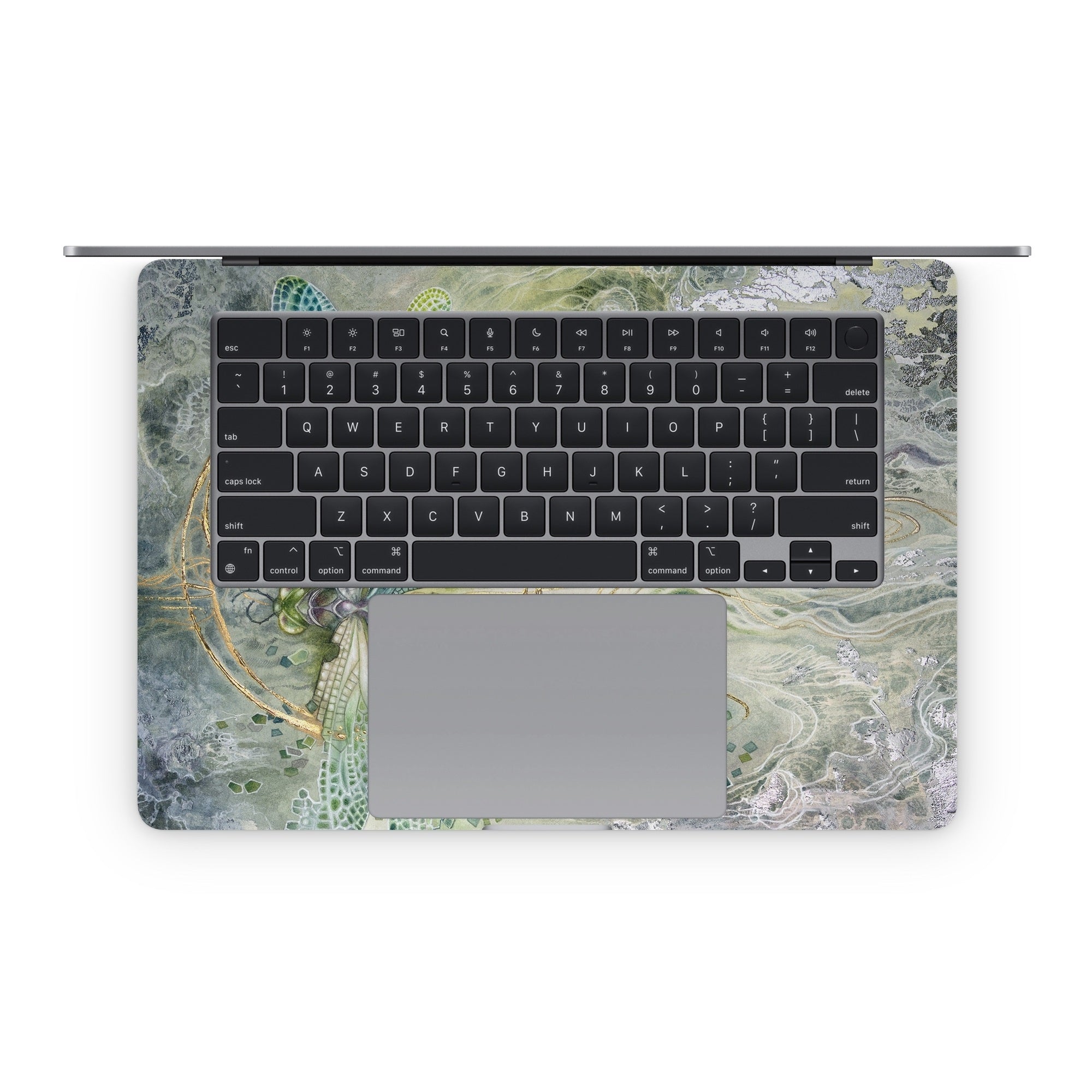 Transition - Apple MacBook Skin