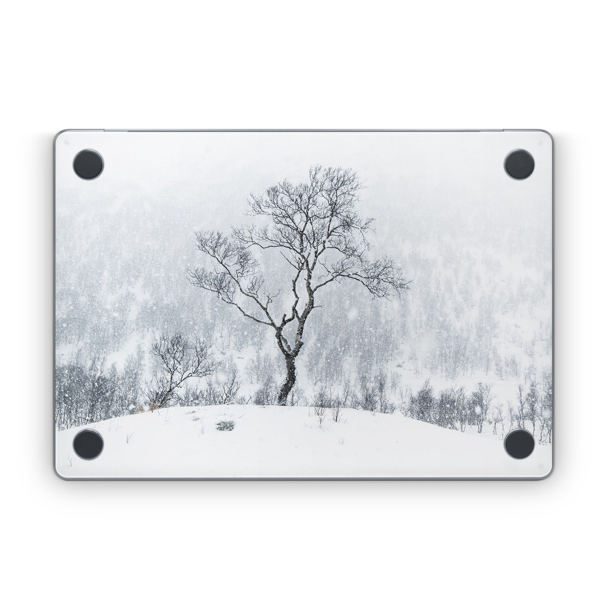 Winter Is Coming - Apple MacBook Skin