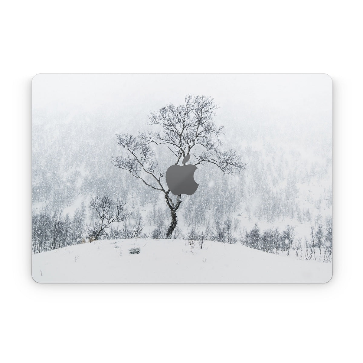 Winter Is Coming - Apple MacBook Skin