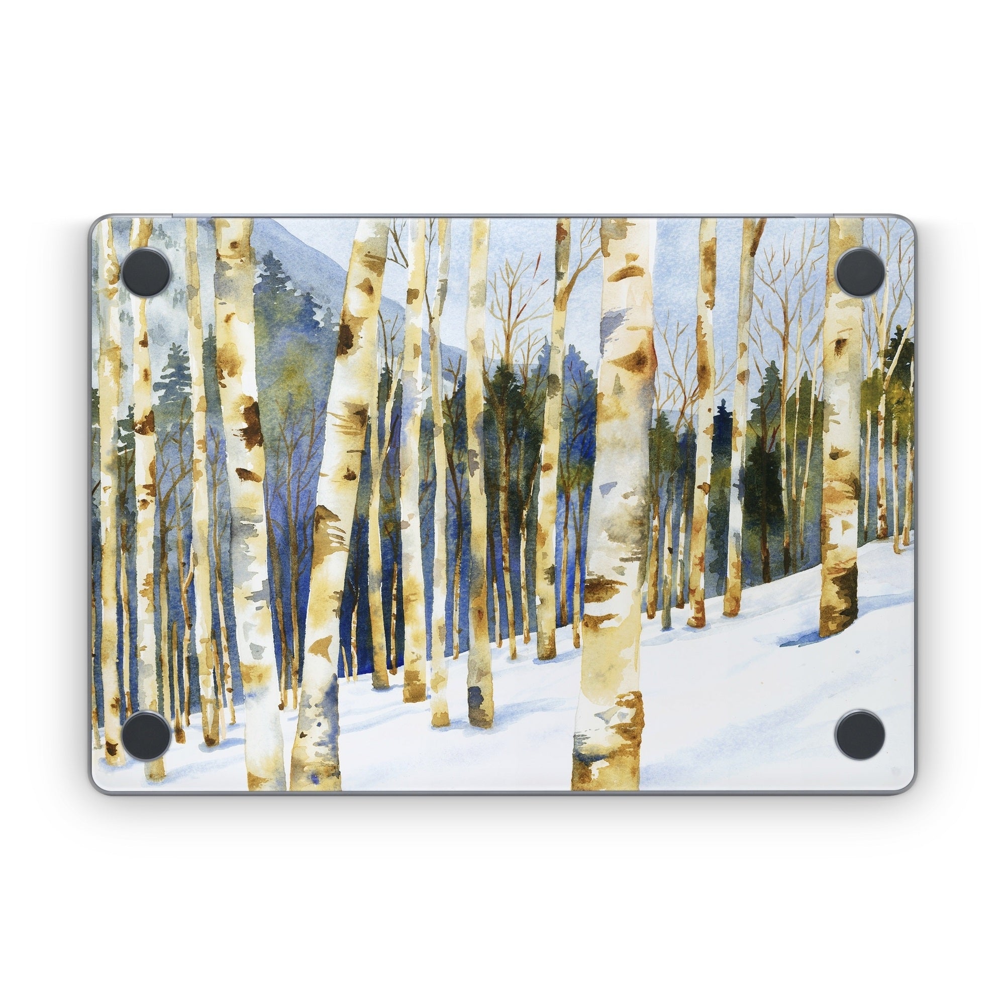 Winter Solstice - Apple MacBook Skin