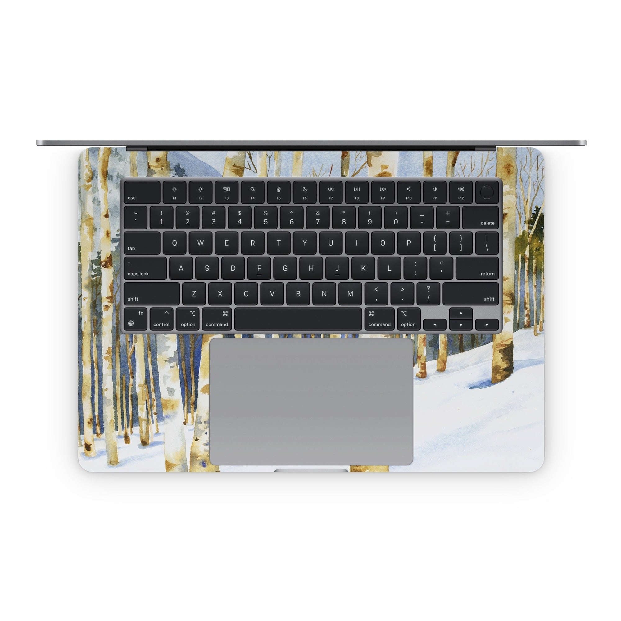 Winter Solstice - Apple MacBook Skin