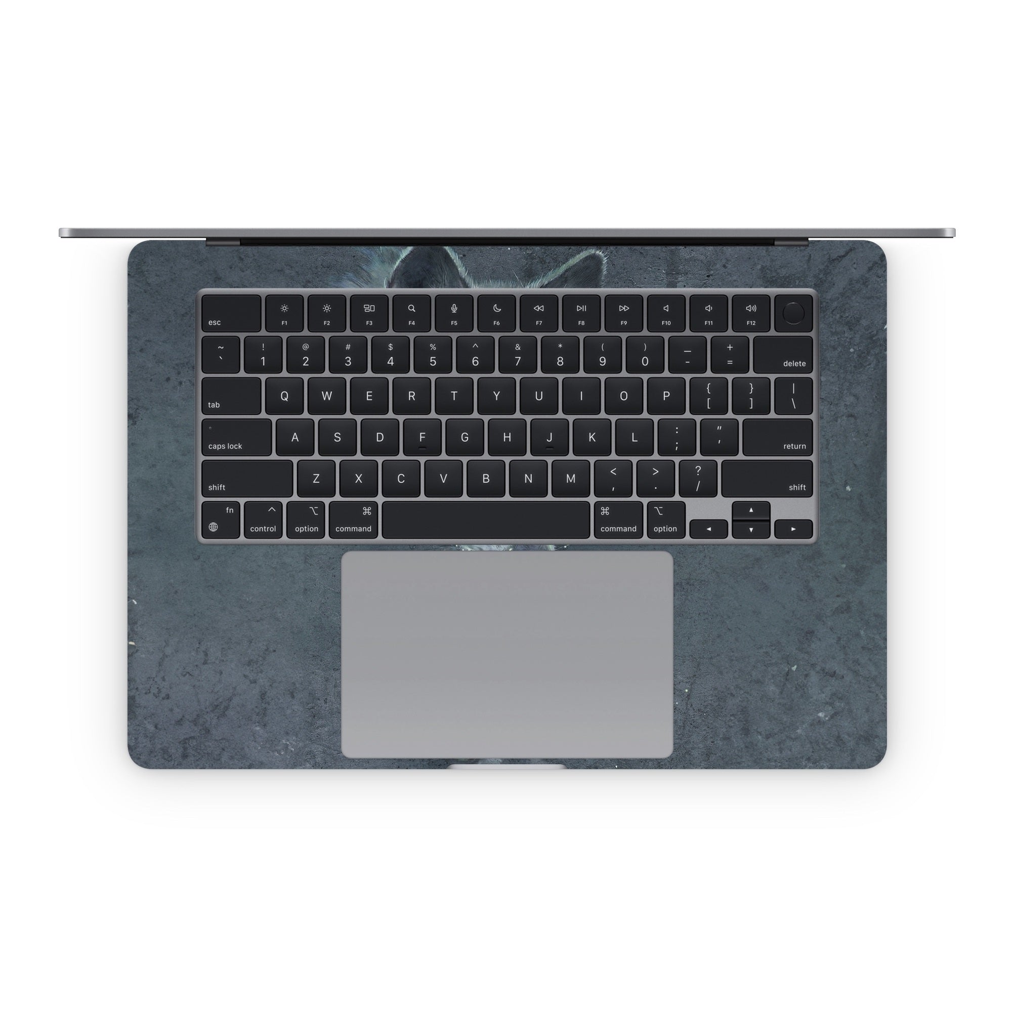 Wolf Reflection - Apple MacBook Skin