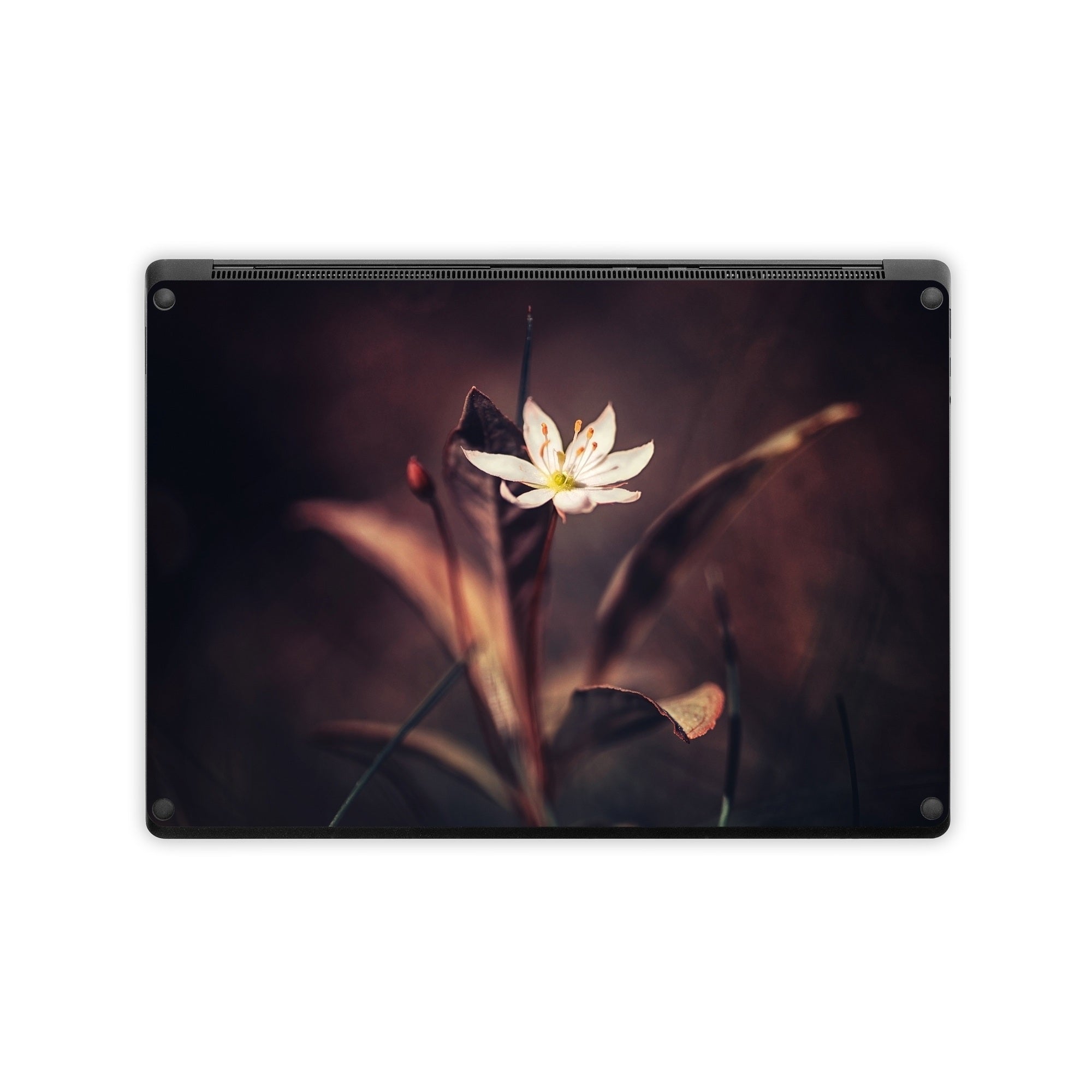 Delicate Bloom - Microsoft Surface Laptop Skin