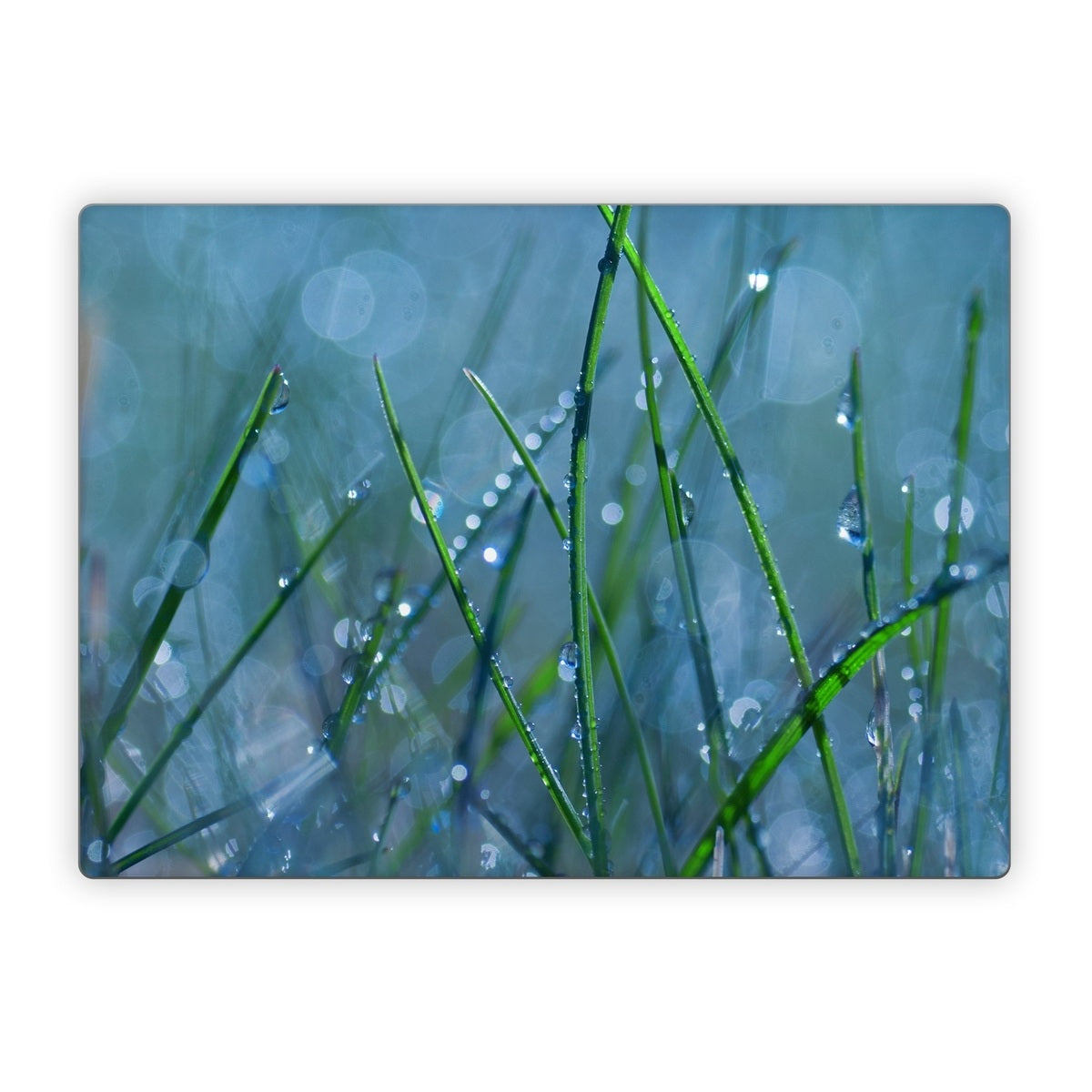 Dew - Microsoft Surface Laptop Skin