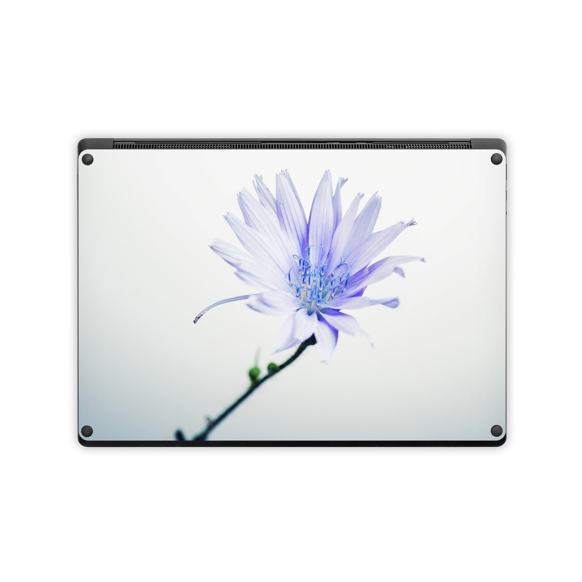 Floral - Microsoft Surface Laptop Skin