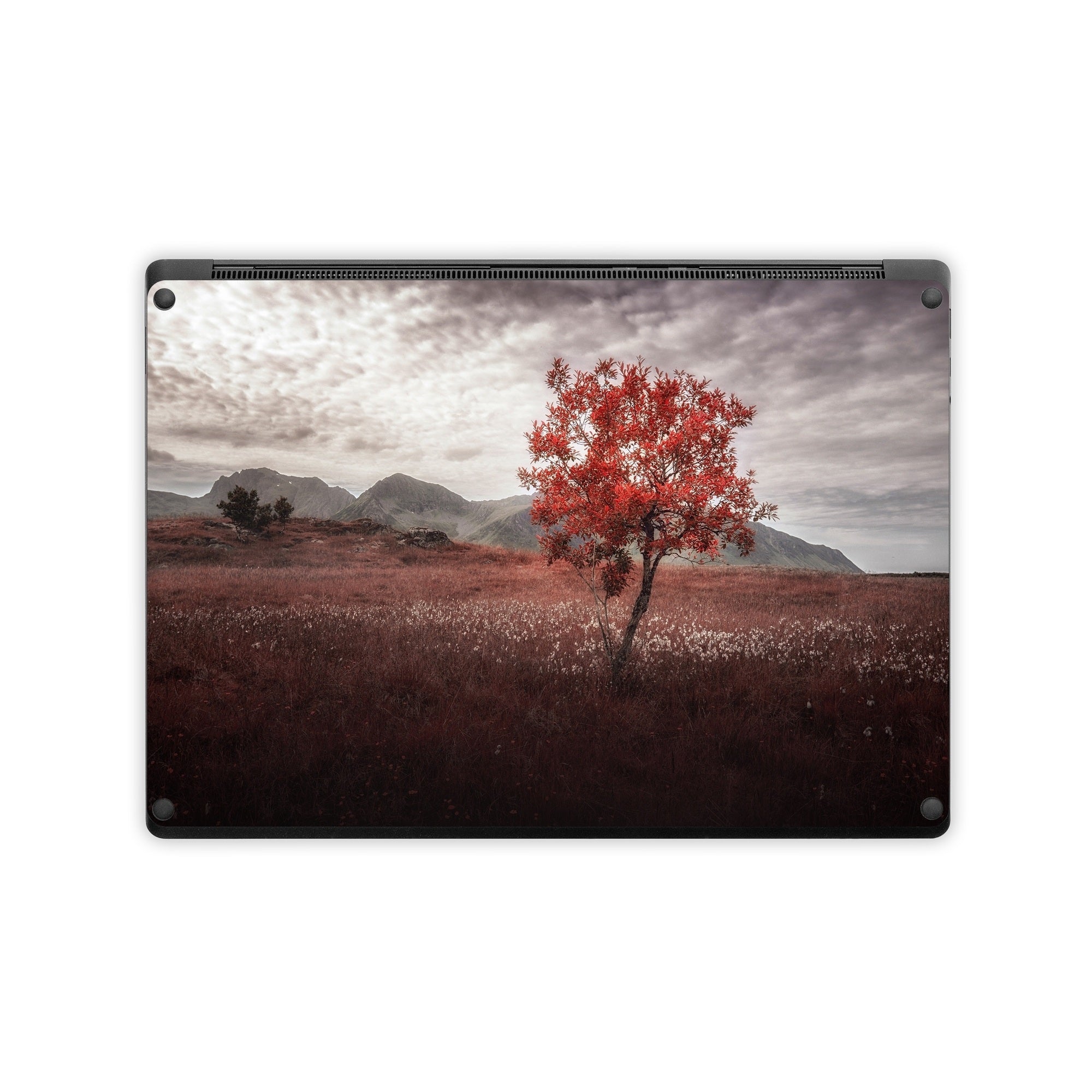 Lofoten Tree - Microsoft Surface Laptop Skin