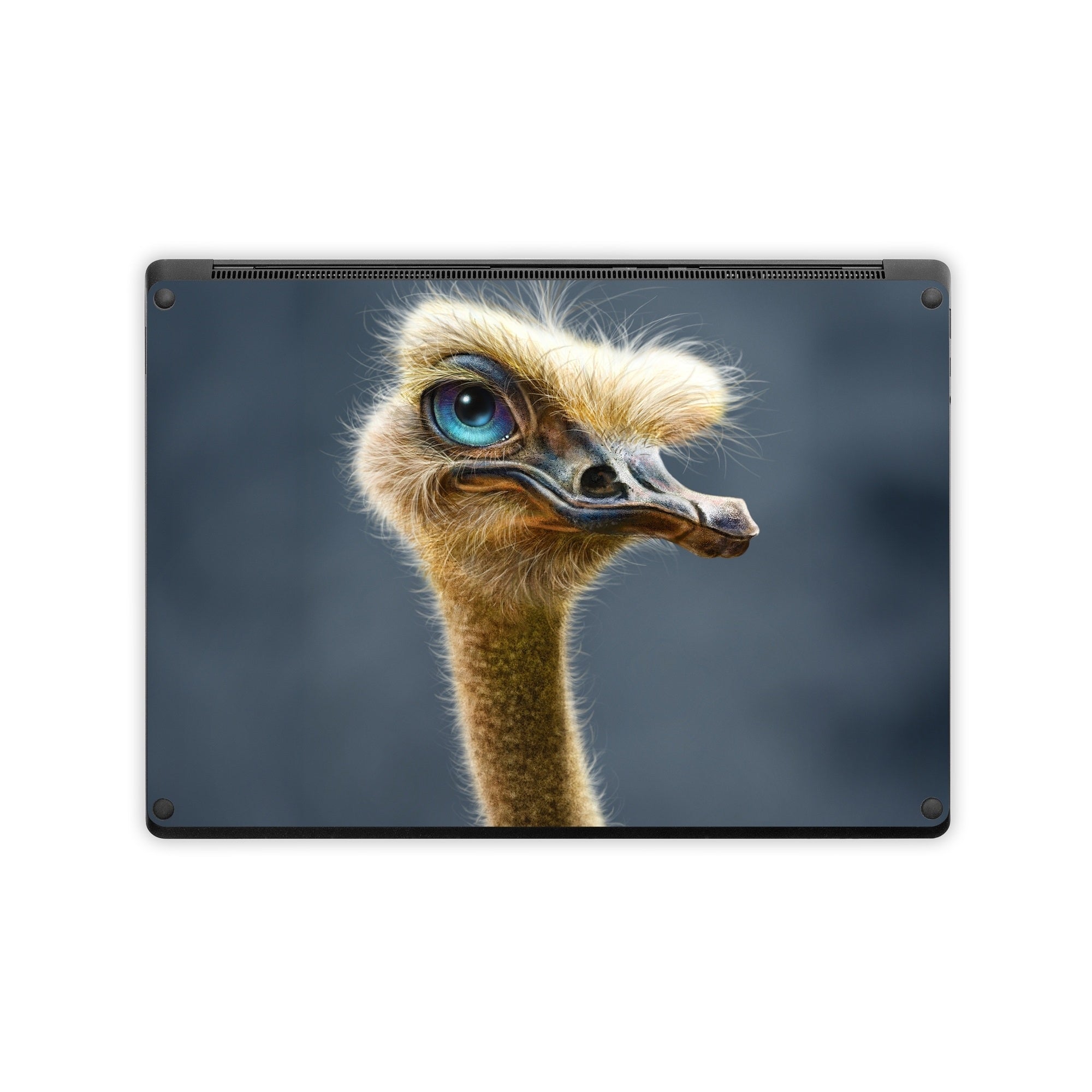 Ostrich Totem - Microsoft Surface Laptop Skin