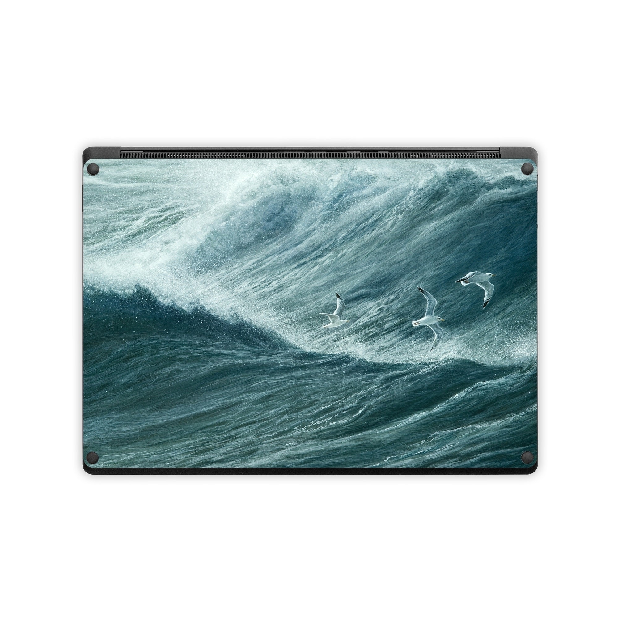 Riding the Wind - Microsoft Surface Laptop Skin