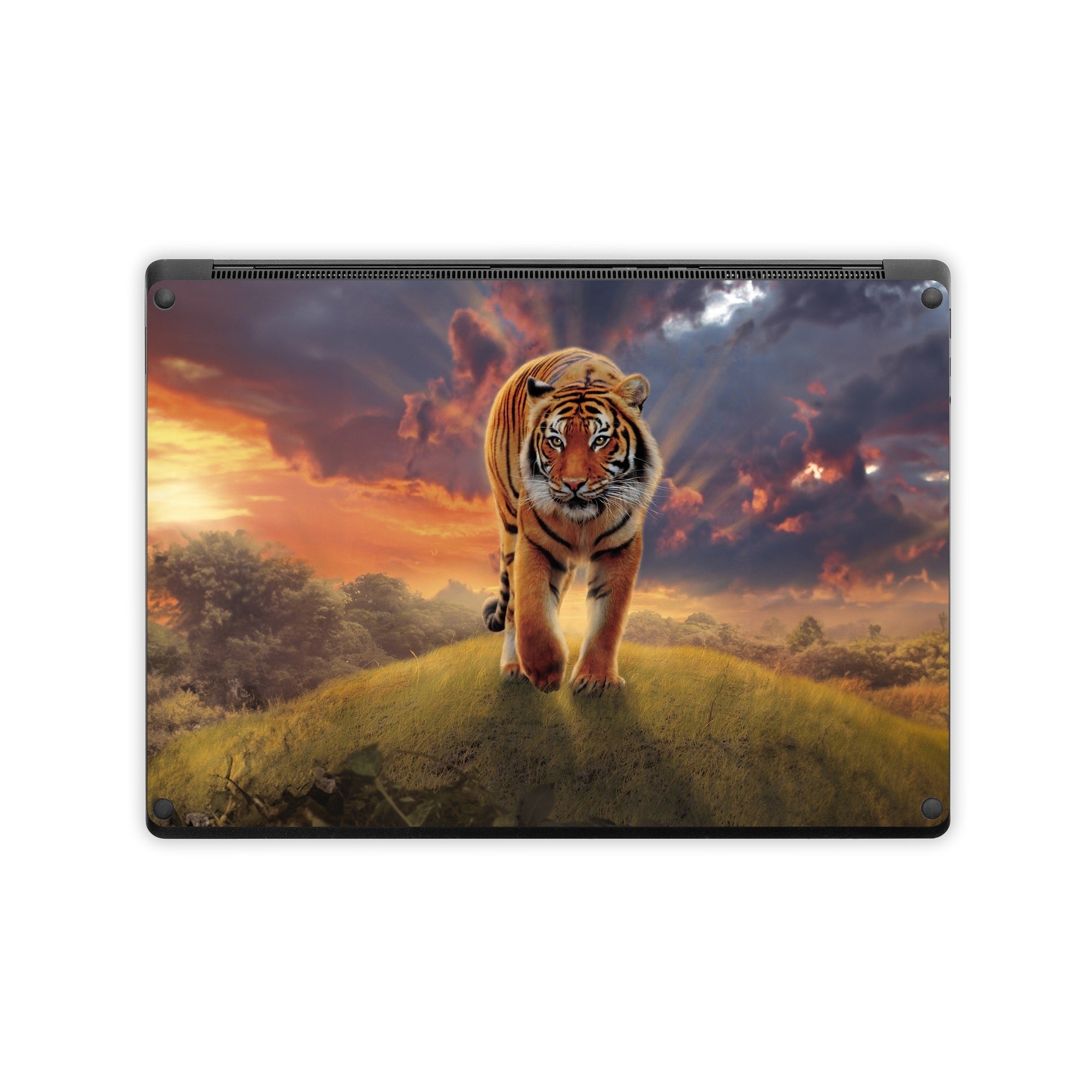 Rising Tiger - Microsoft Surface Laptop Skin