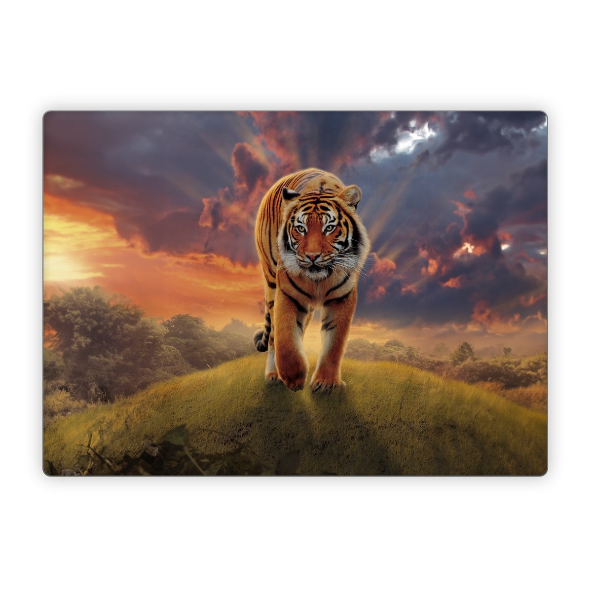 Rising Tiger - Microsoft Surface Laptop Skin