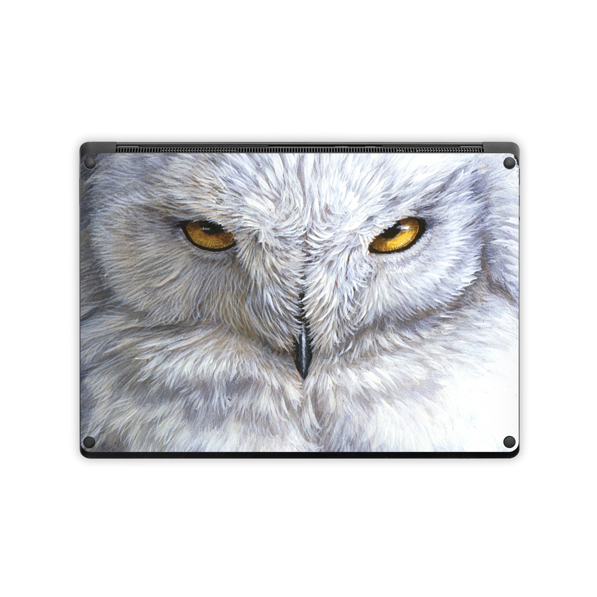 Snowy Owl - Microsoft Surface Laptop Skin