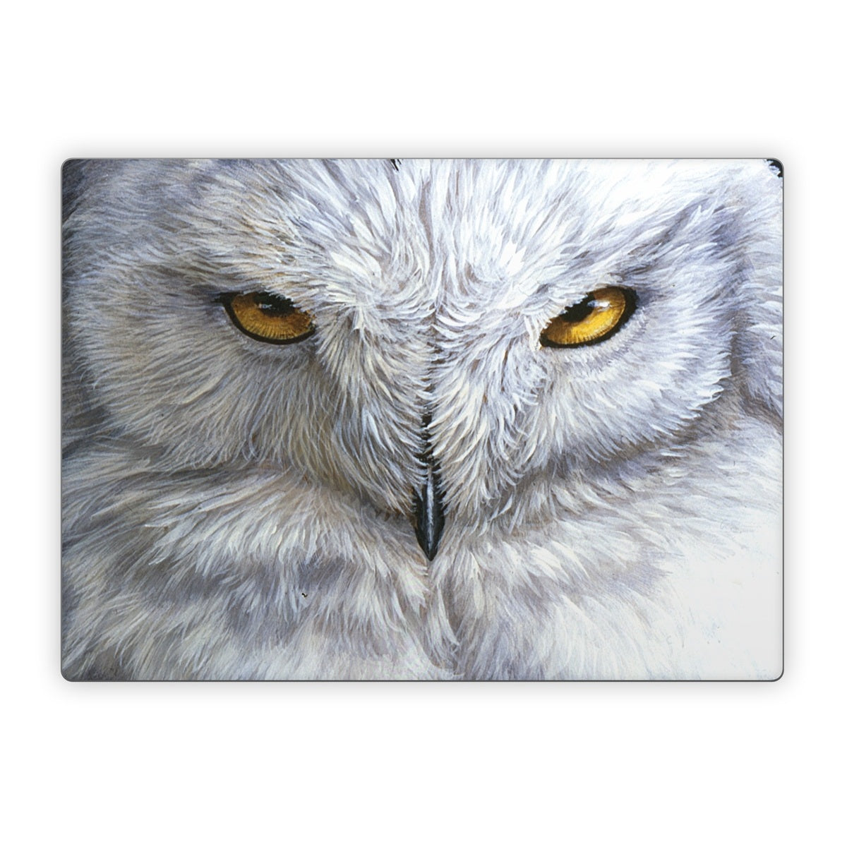 Snowy Owl - Microsoft Surface Laptop Skin